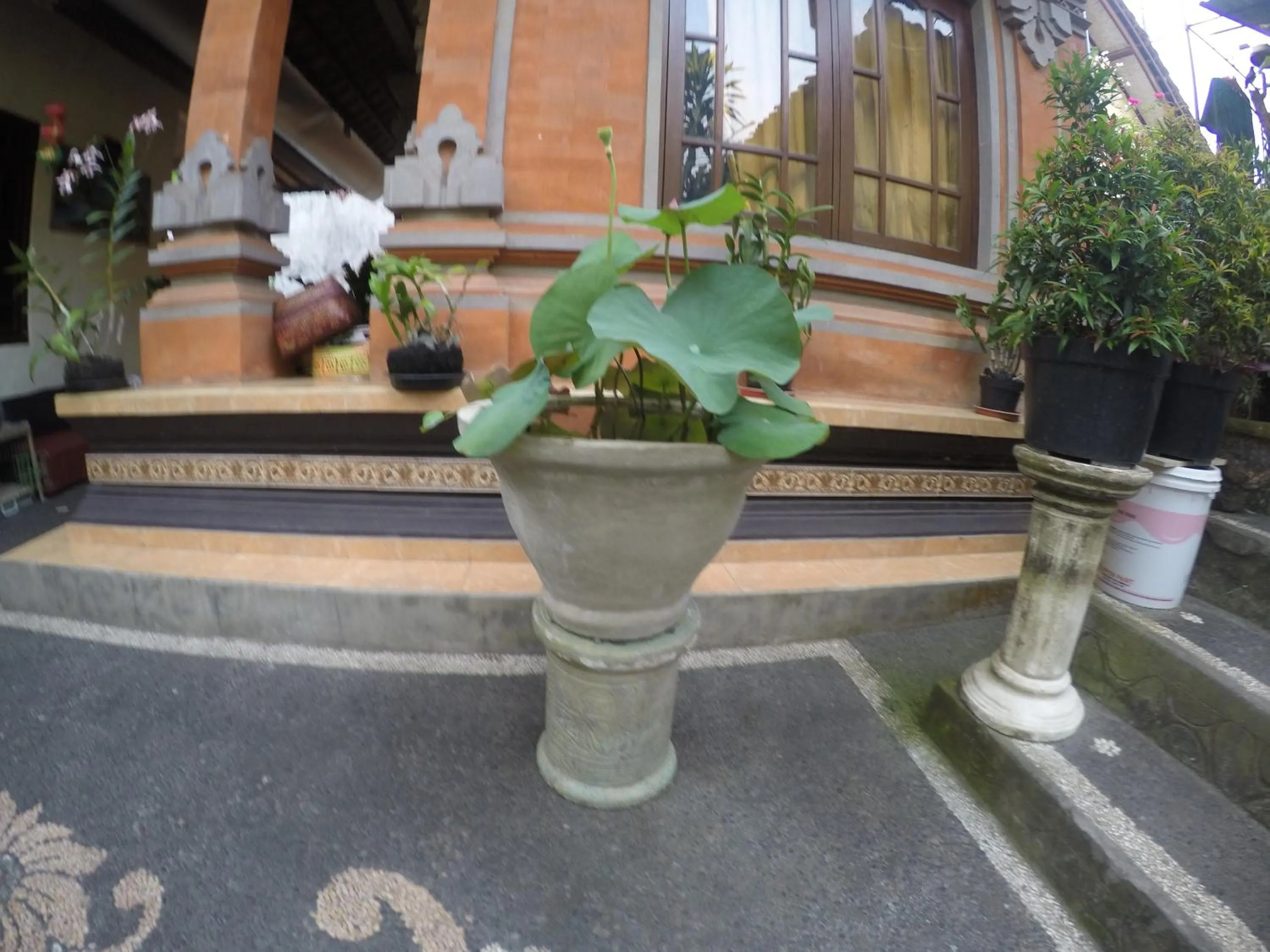 Neighbourhood in Pancer House