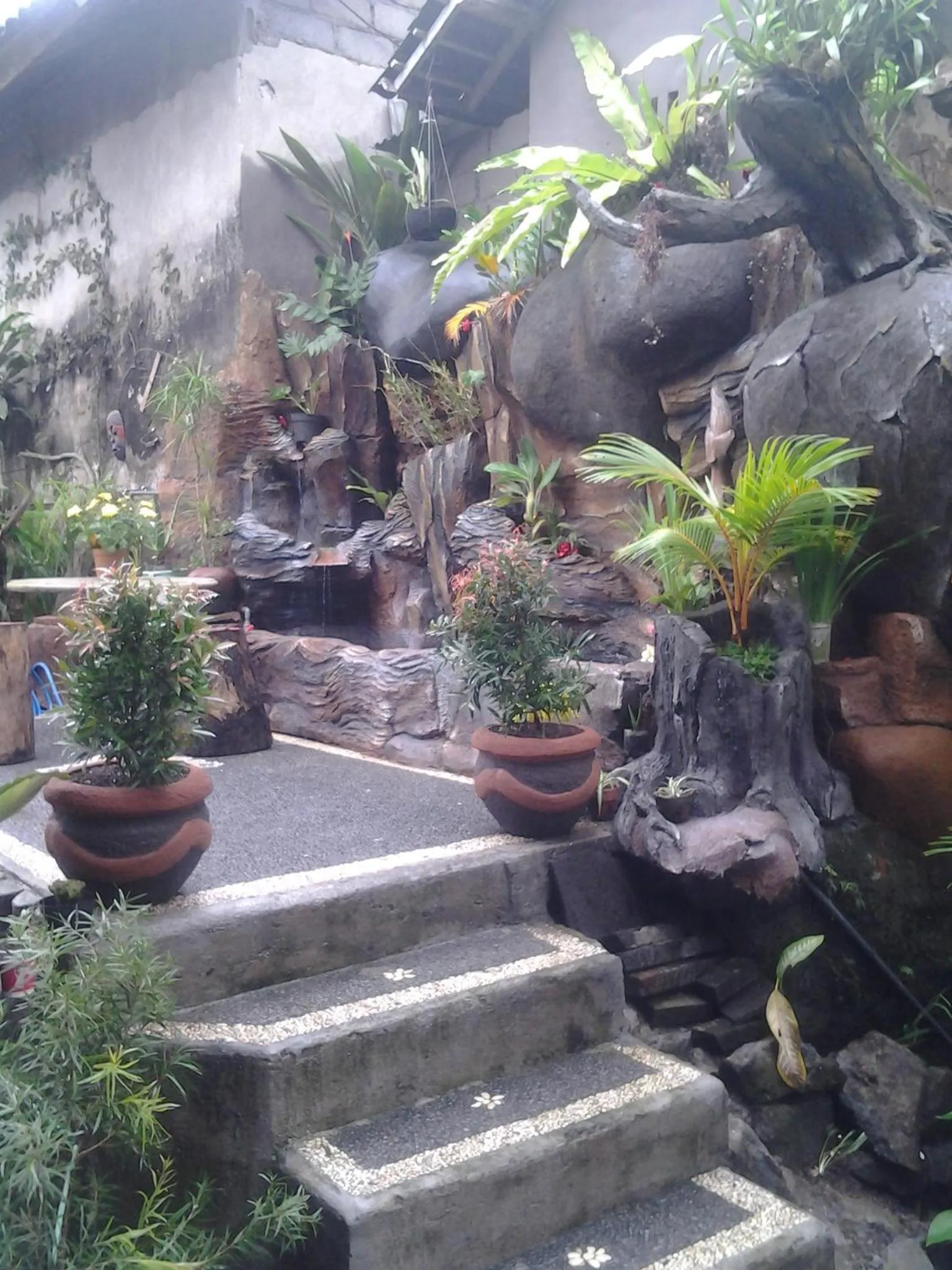 Area and facilities in Pancer House