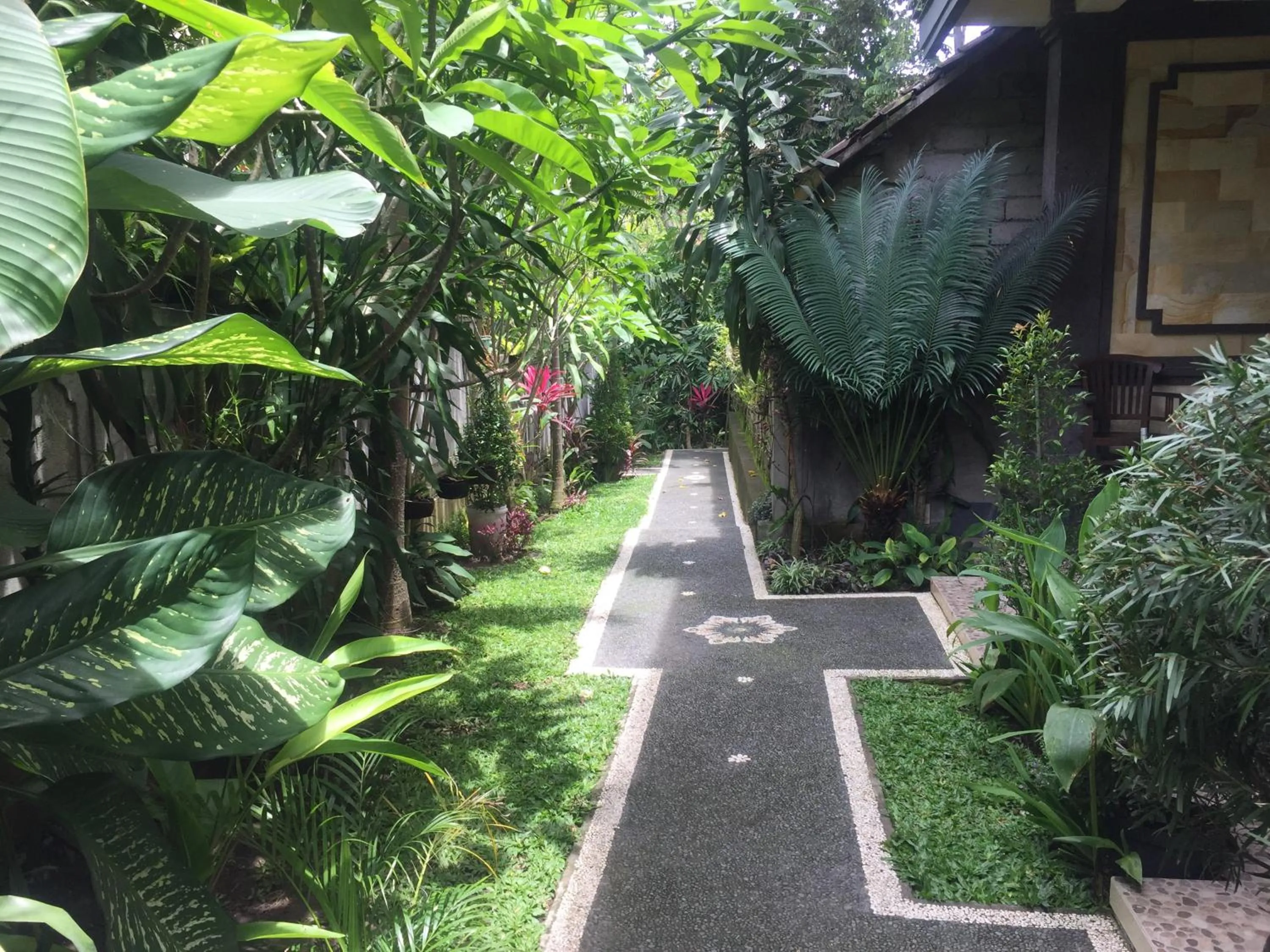 Garden in Pancer House