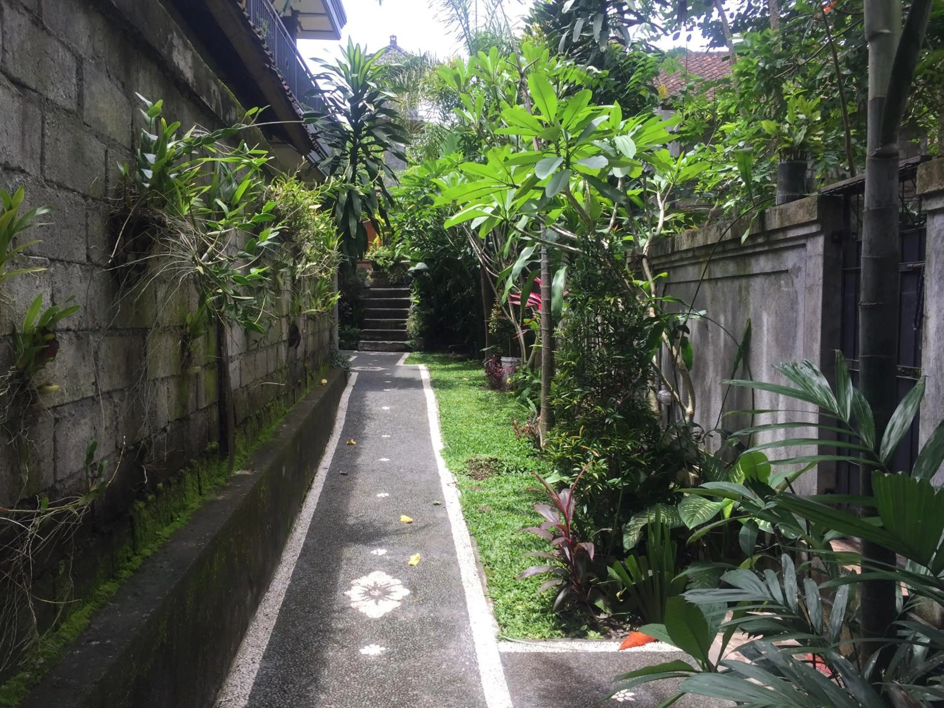 Garden in Pancer House
