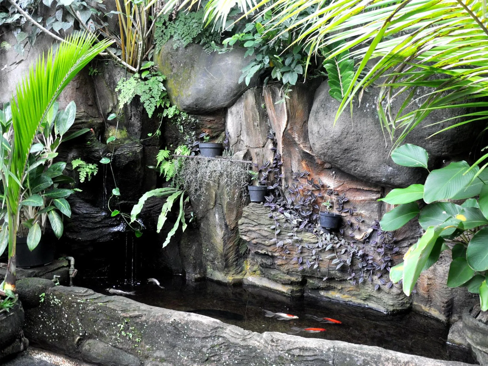 Neighbourhood in Pancer House