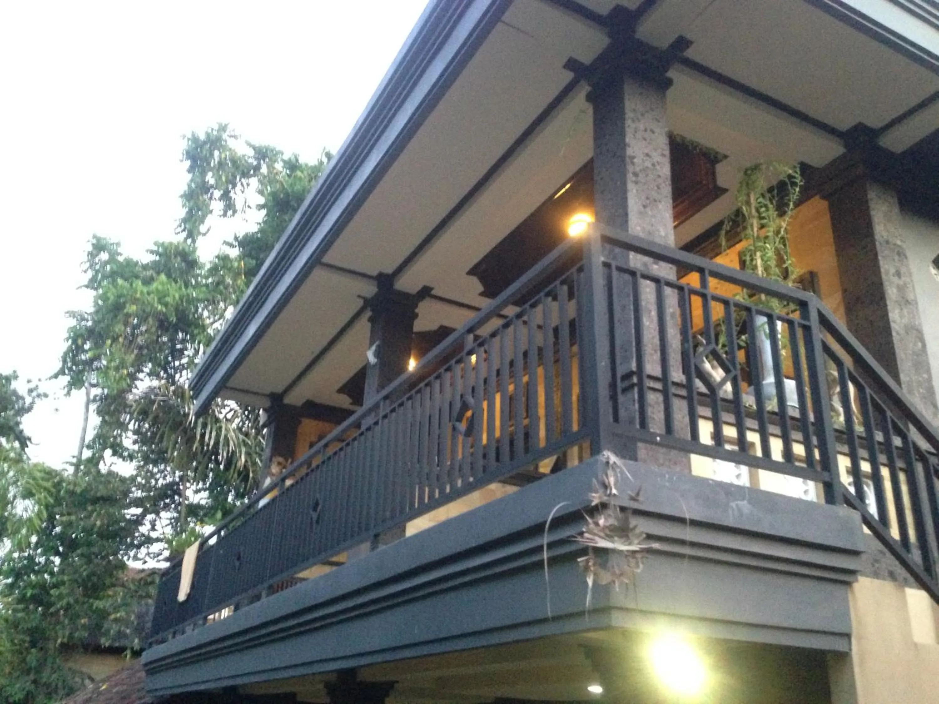 Balcony/Terrace in Pancer House