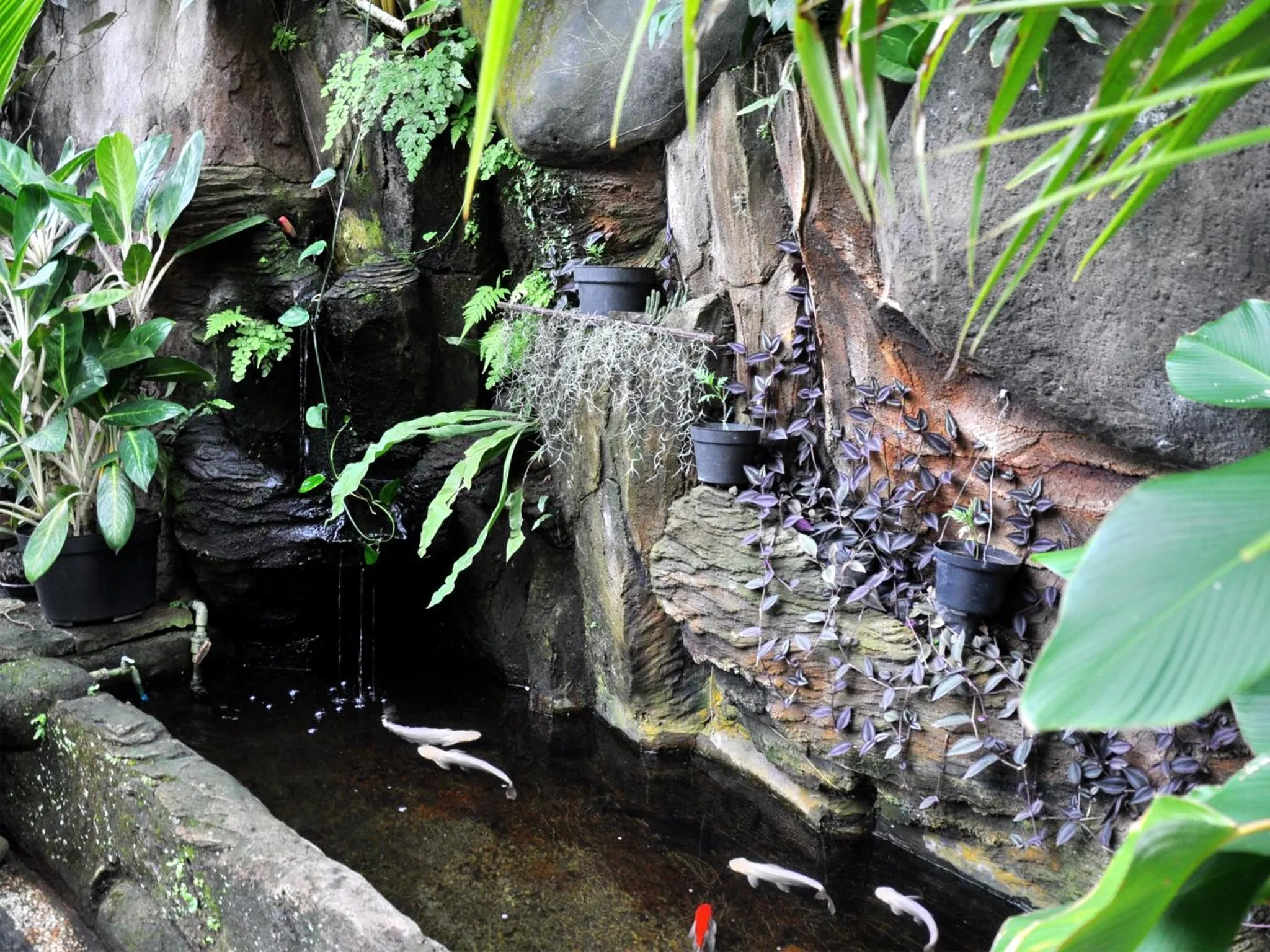 Neighbourhood in Pancer House