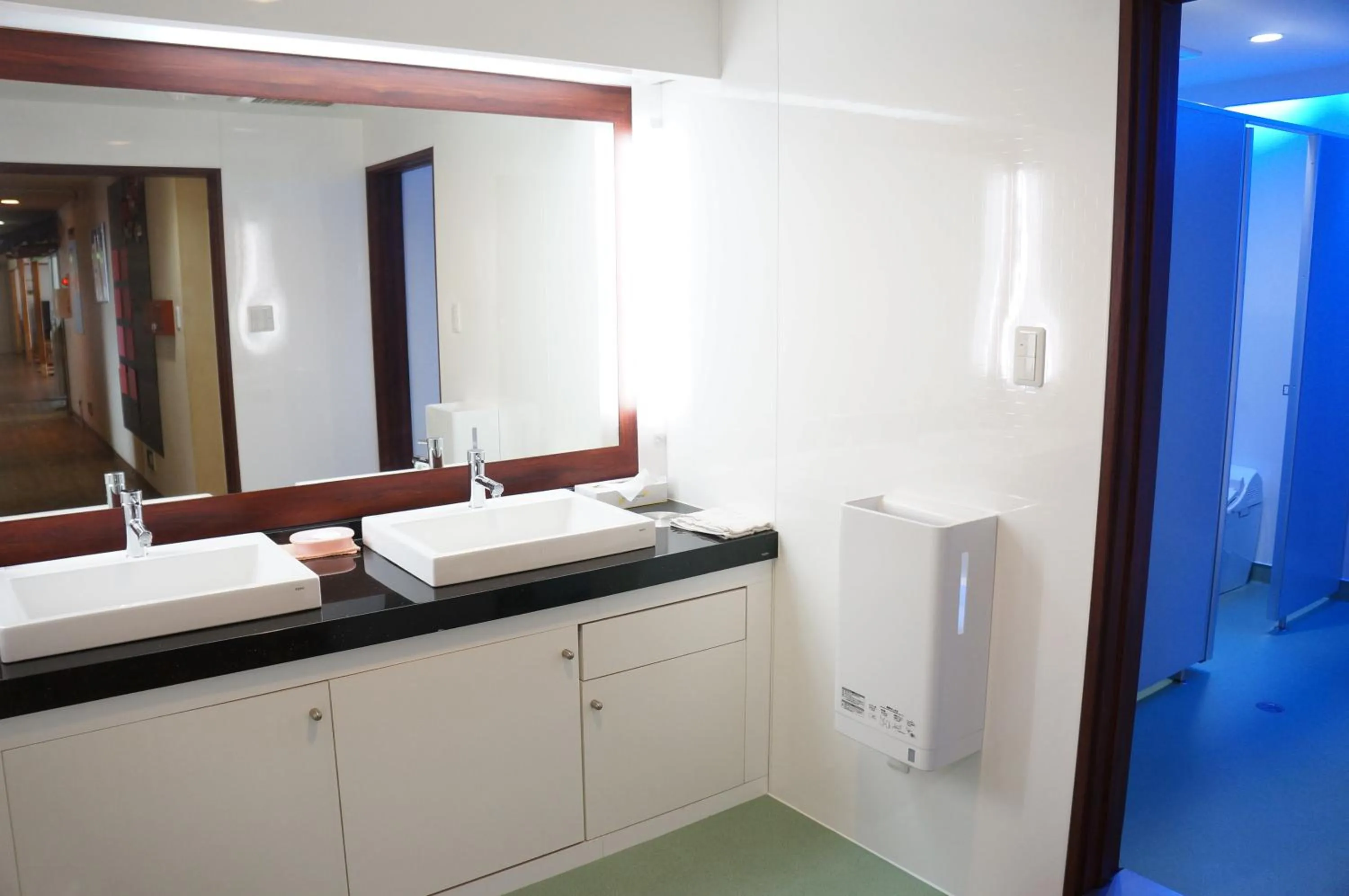 Toilet in Capsule Hotel 310