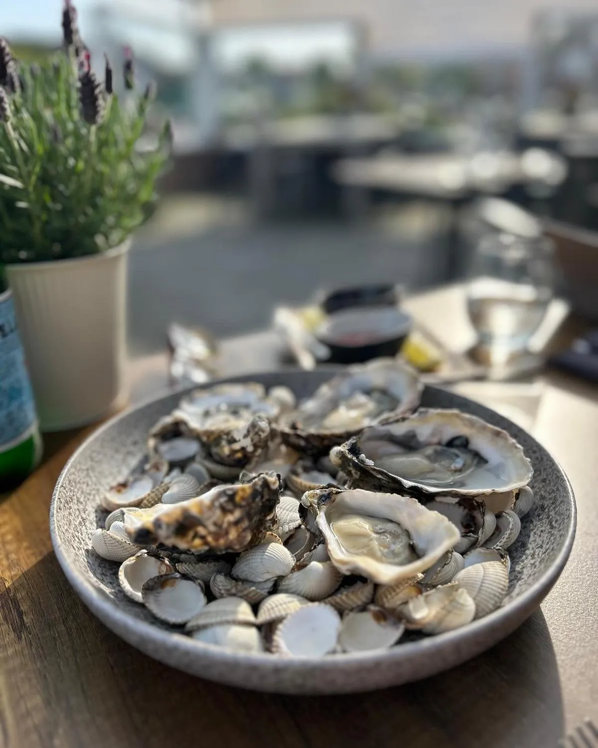 Restaurant/places to eat in Suitehotel Posthoorn