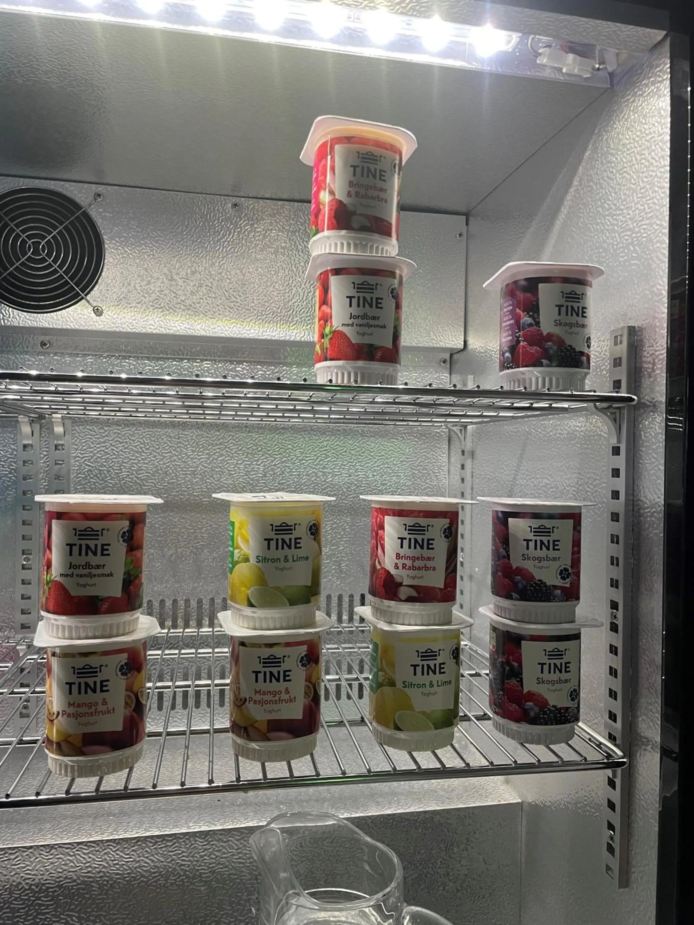 Tynset Rom & Camping