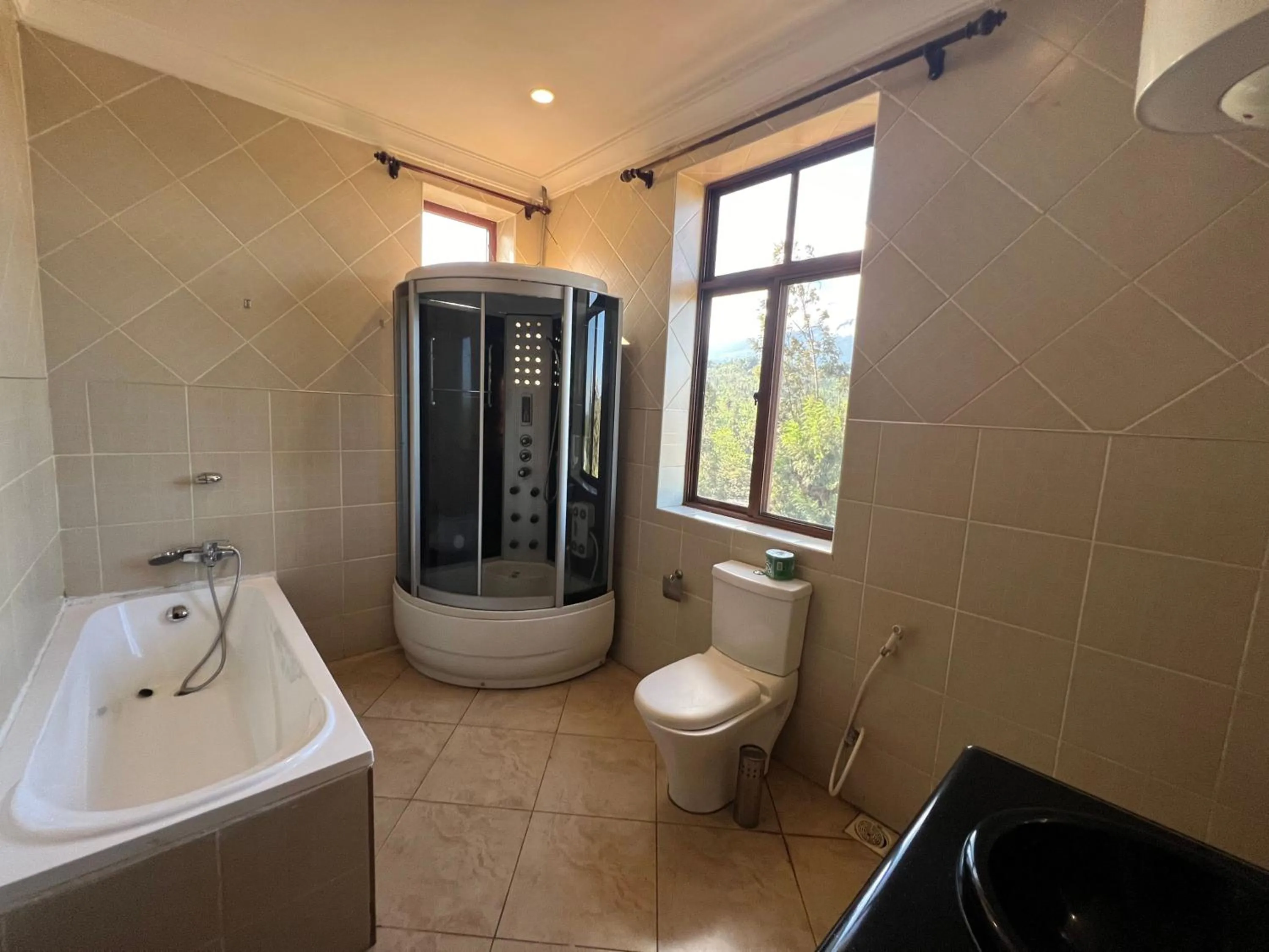 Shower in Nejobugg Palace Hotel