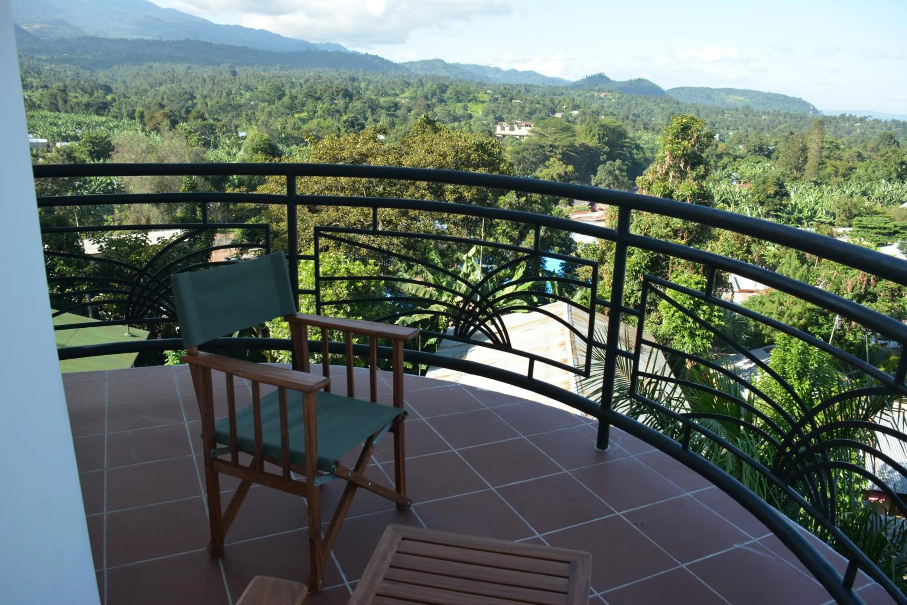 Balcony/Terrace in Nejobugg Palace Hotel