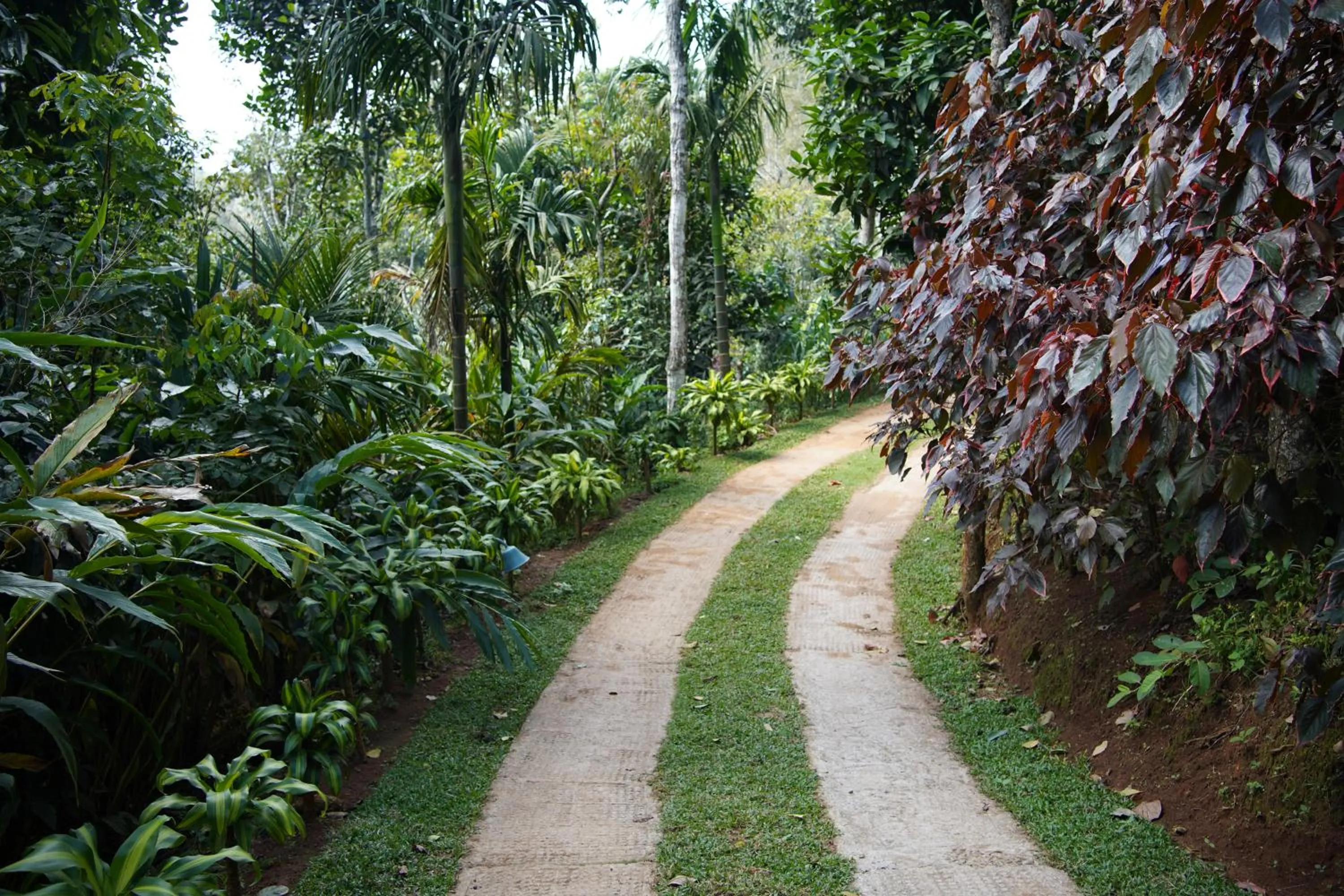 Natural landscape in Blanket Days Resort and Spa