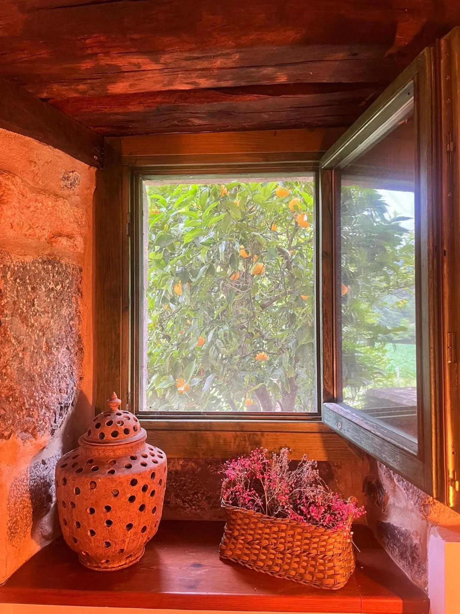 Library in Hotel Boutique Villa de Palacios - Palacio de Aras
