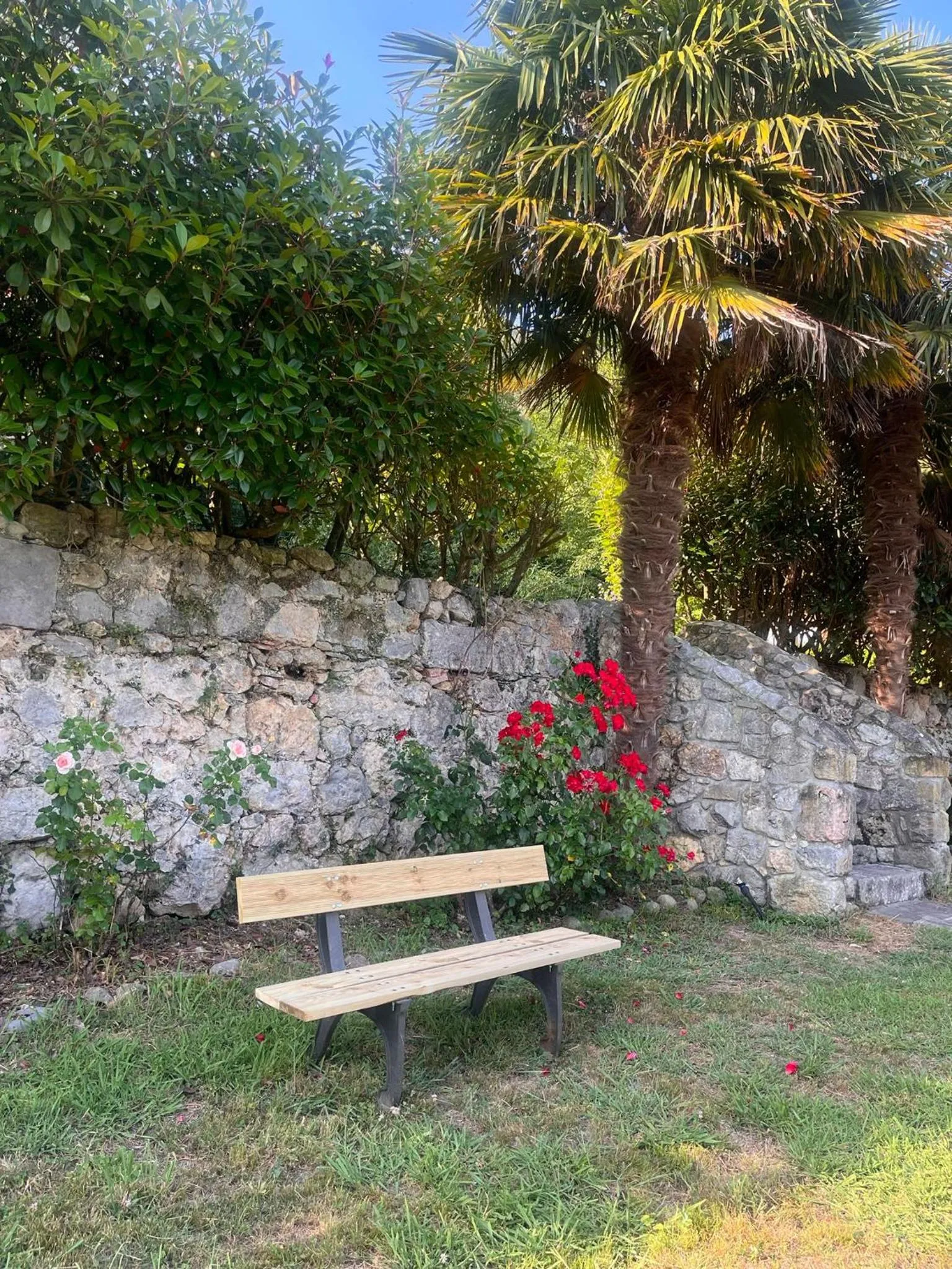 Garden in Hotel Boutique Villa de Palacios - Palacio de Aras