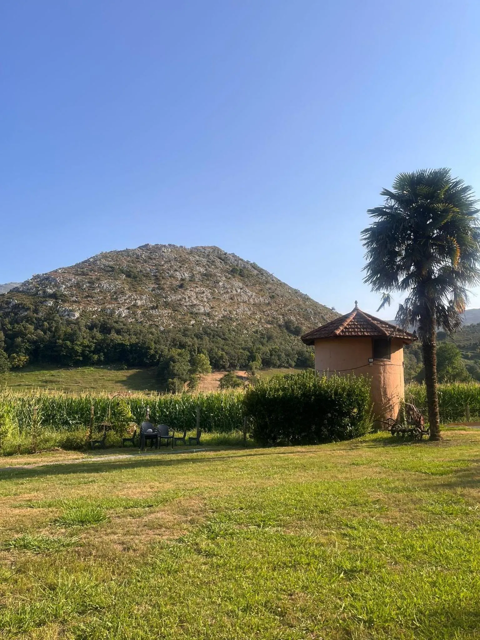 Garden in Hotel Boutique Villa de Palacios - Palacio de Aras