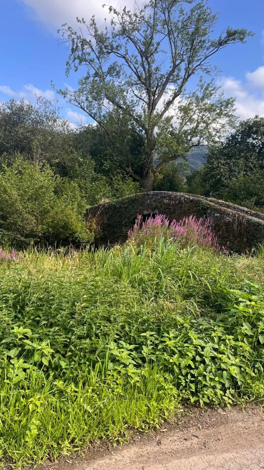 Other in Hotel Boutique Villa de Palacios - Palacio de Aras