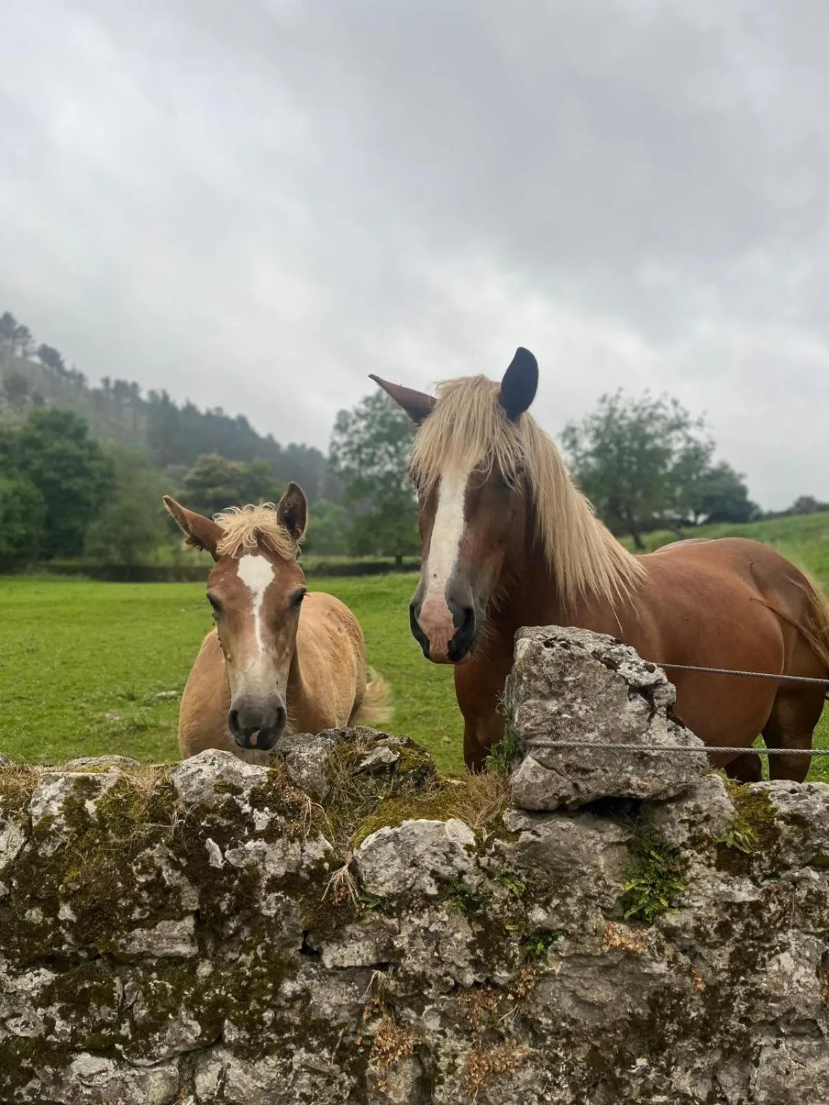 Other in Hotel Boutique Villa de Palacios - Palacio de Aras