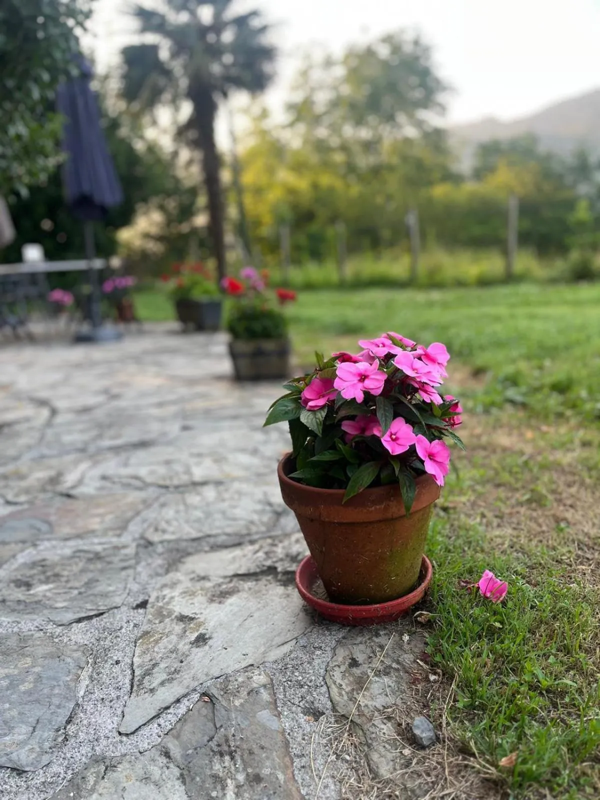 Decorative detail in Hotel Boutique Villa de Palacios - Palacio de Aras