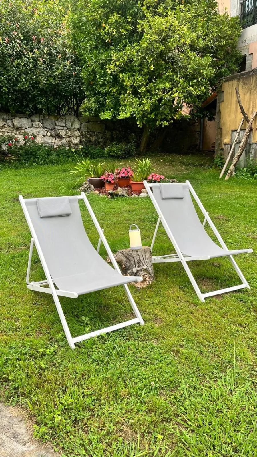 Garden in Hotel Boutique Villa de Palacios - Palacio de Aras