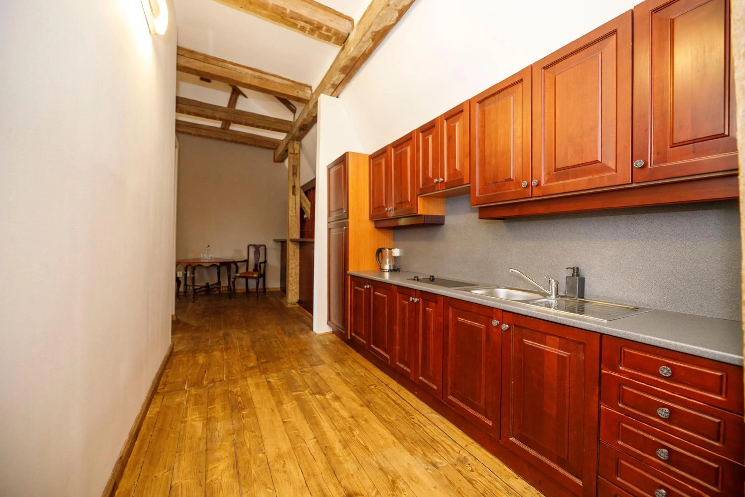 Kitchen or kitchenette in Dvůr Pecínov