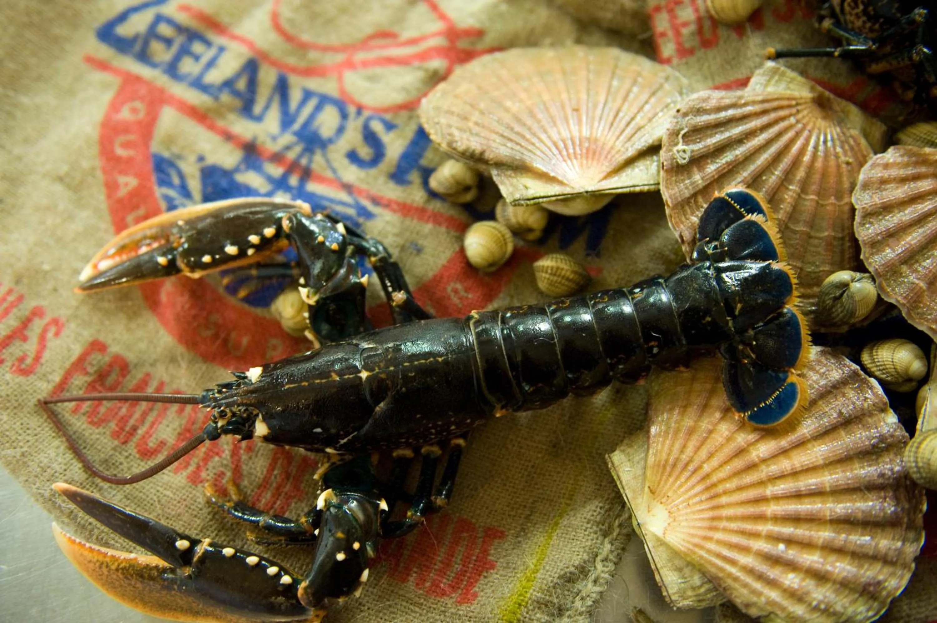 Hostellerie Schuddebeurs