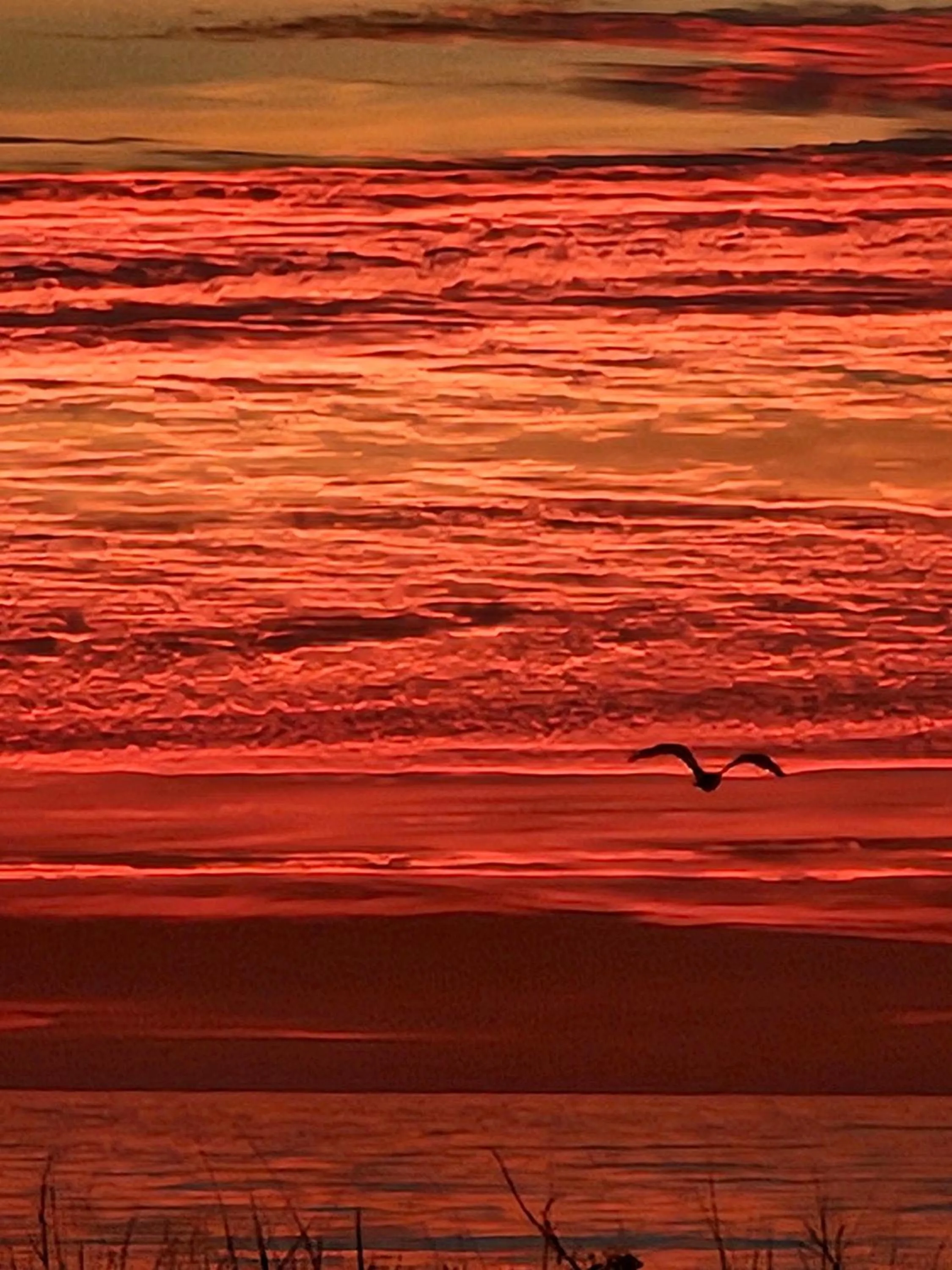 Sunrise in Boardwalk Sand & Surf Beach Hotel Oceanfront