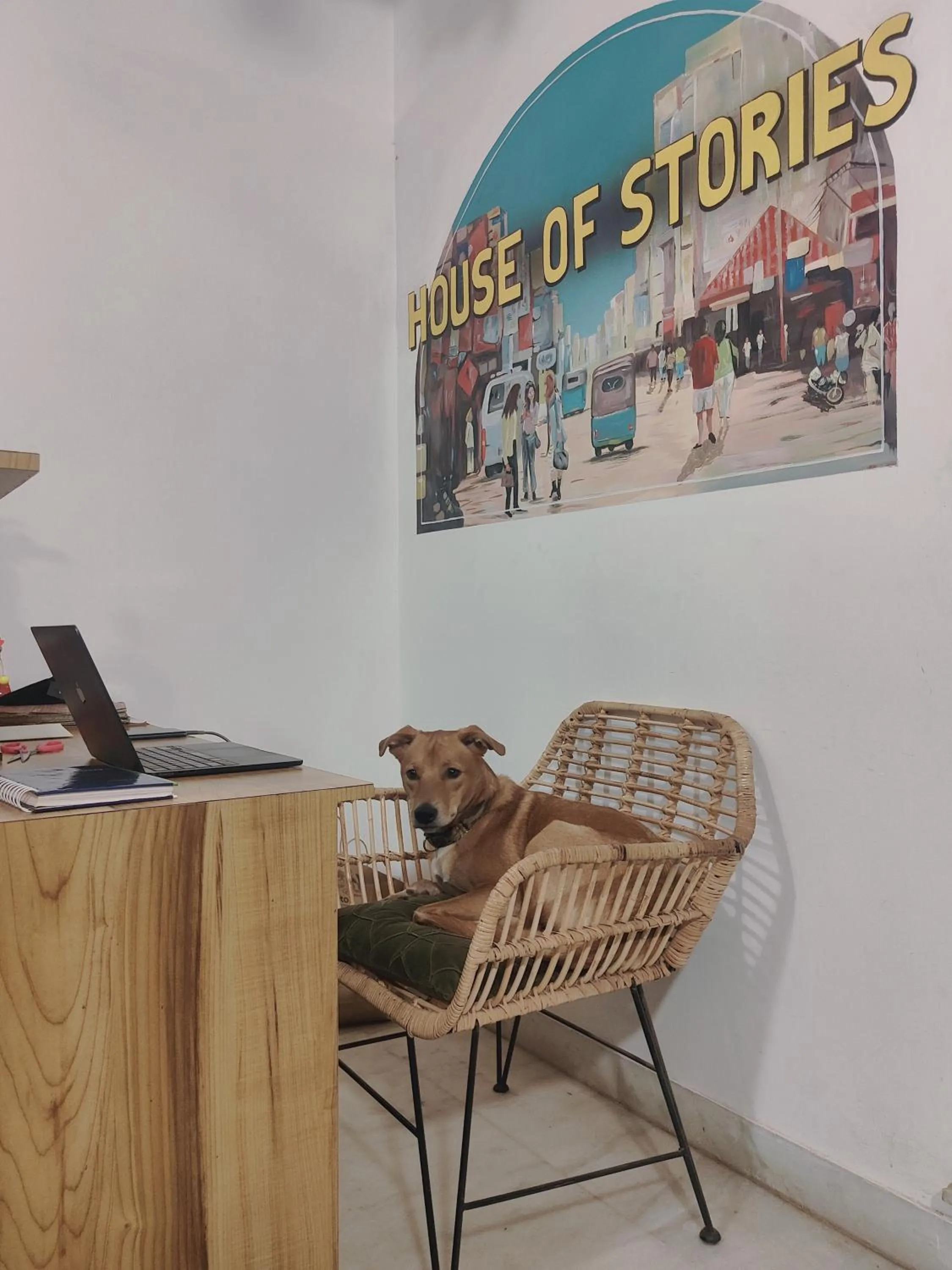 Pets in House of Stories - Indiranagar