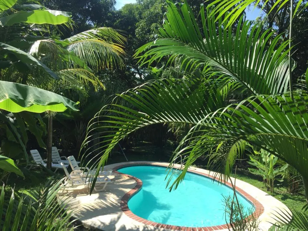 Garden view in Hotel Luz de Luna