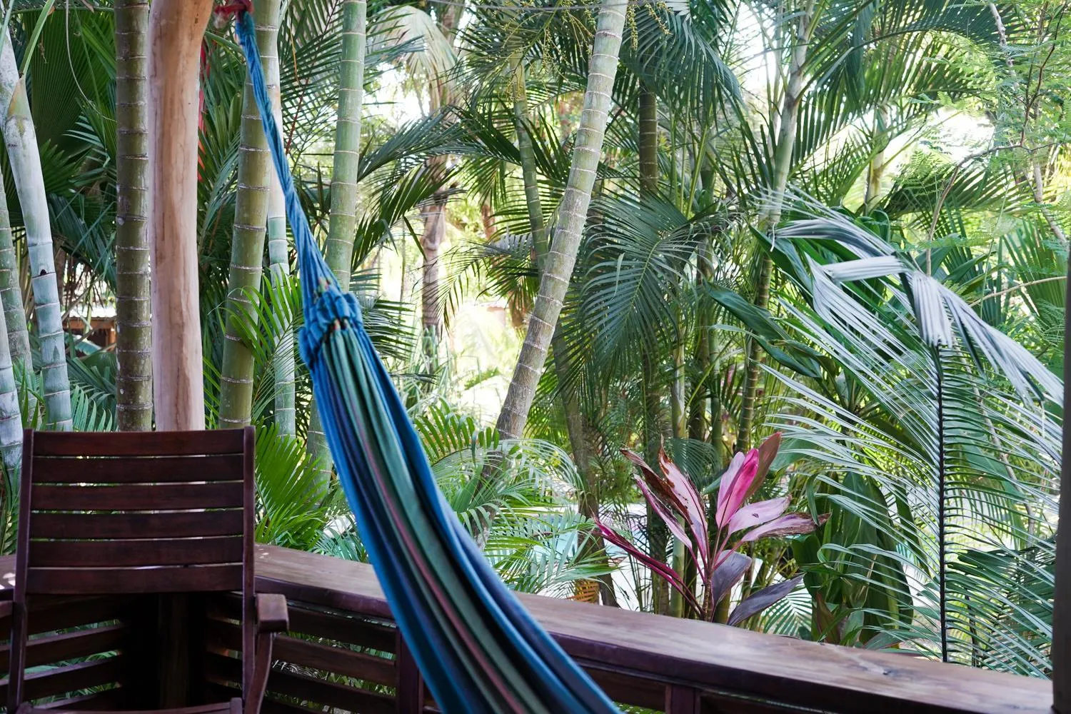 Garden view in Hotel Luz de Luna