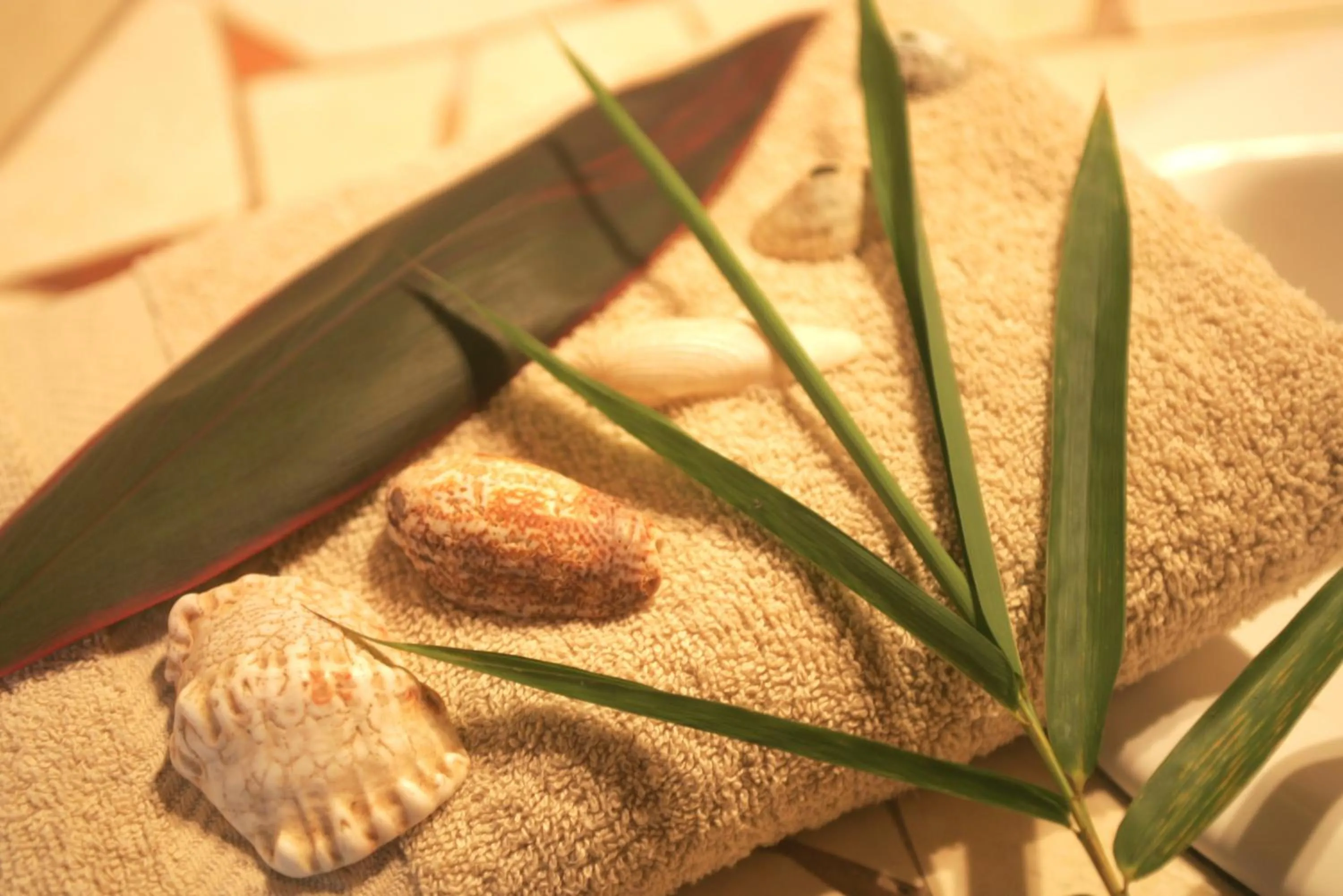 Other in Hotel Luz de Luna