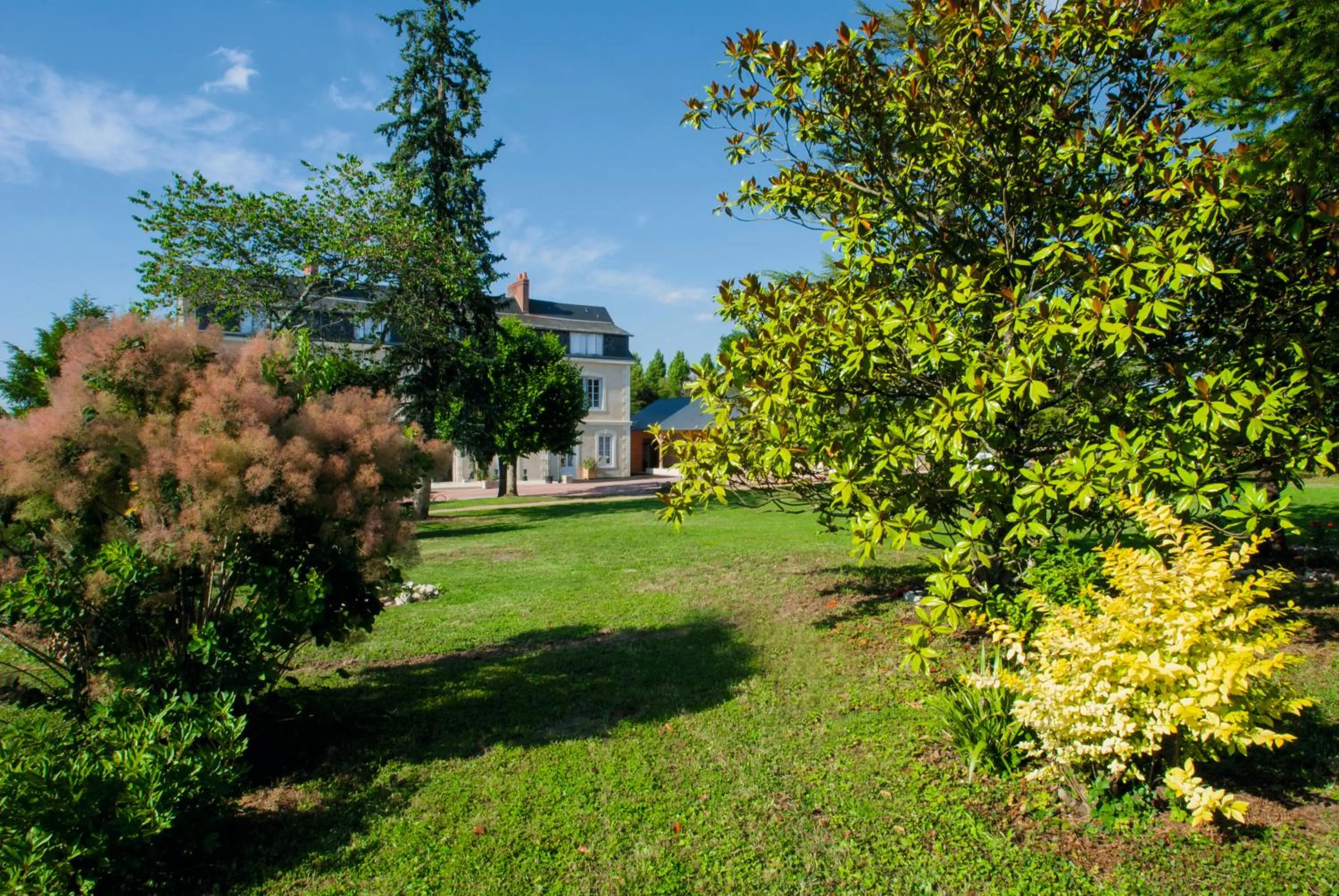 Garden view in Hôtel Le Haut des Lys