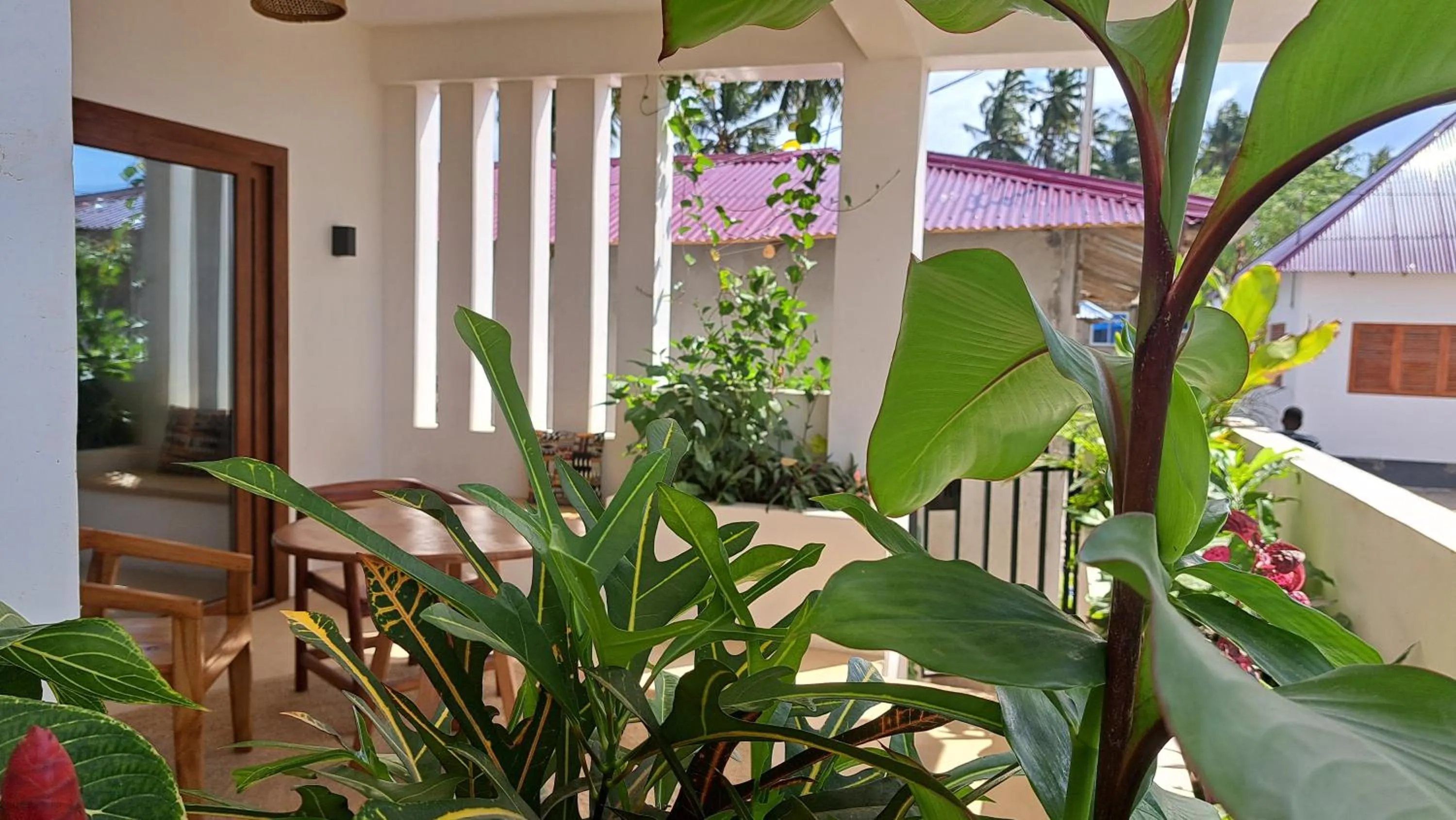 Garden in Aluna Beach Apartments