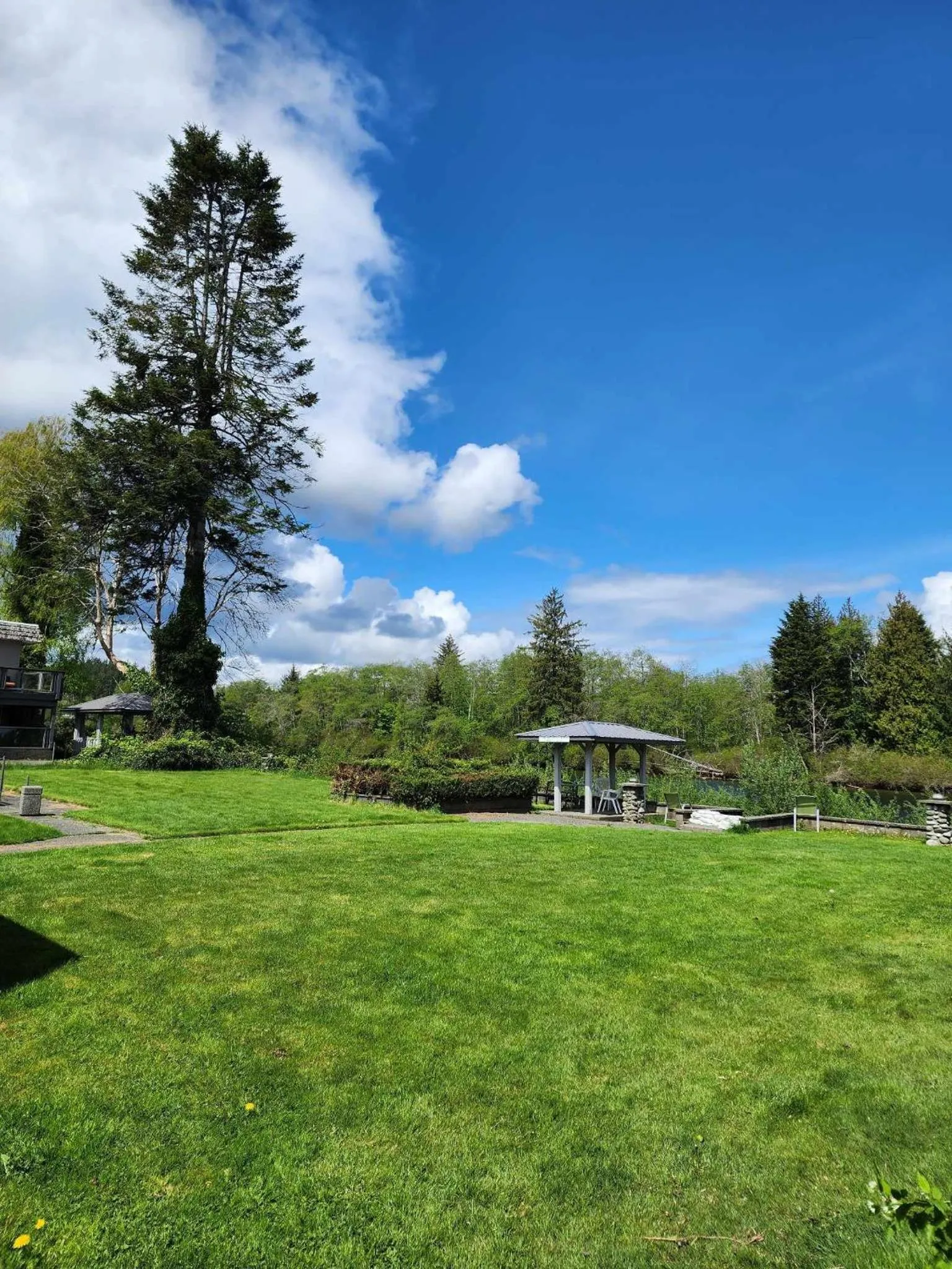 Garden in Campbell River Lodge