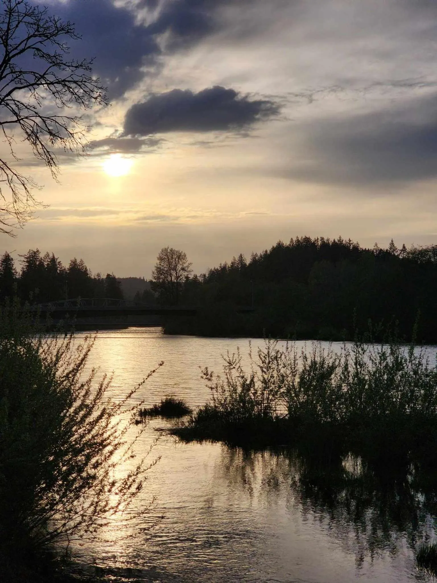 River view in Campbell River Lodge