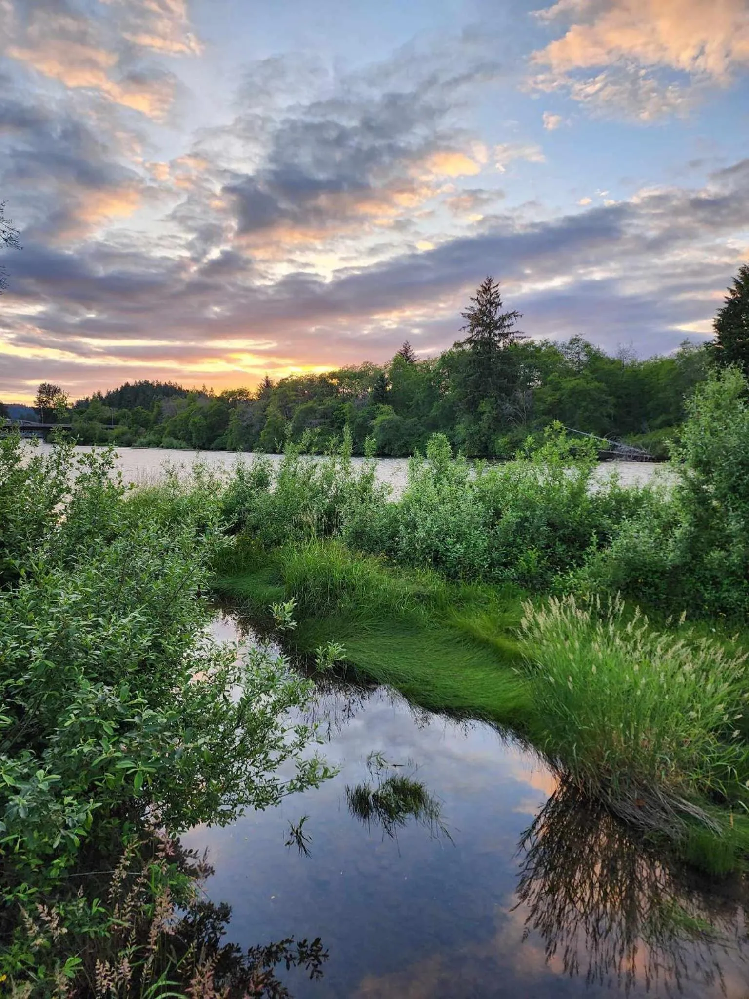River view in Campbell River Lodge