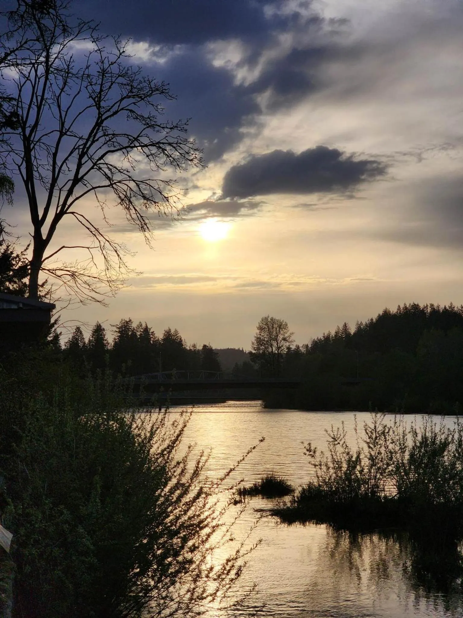 River view in Campbell River Lodge