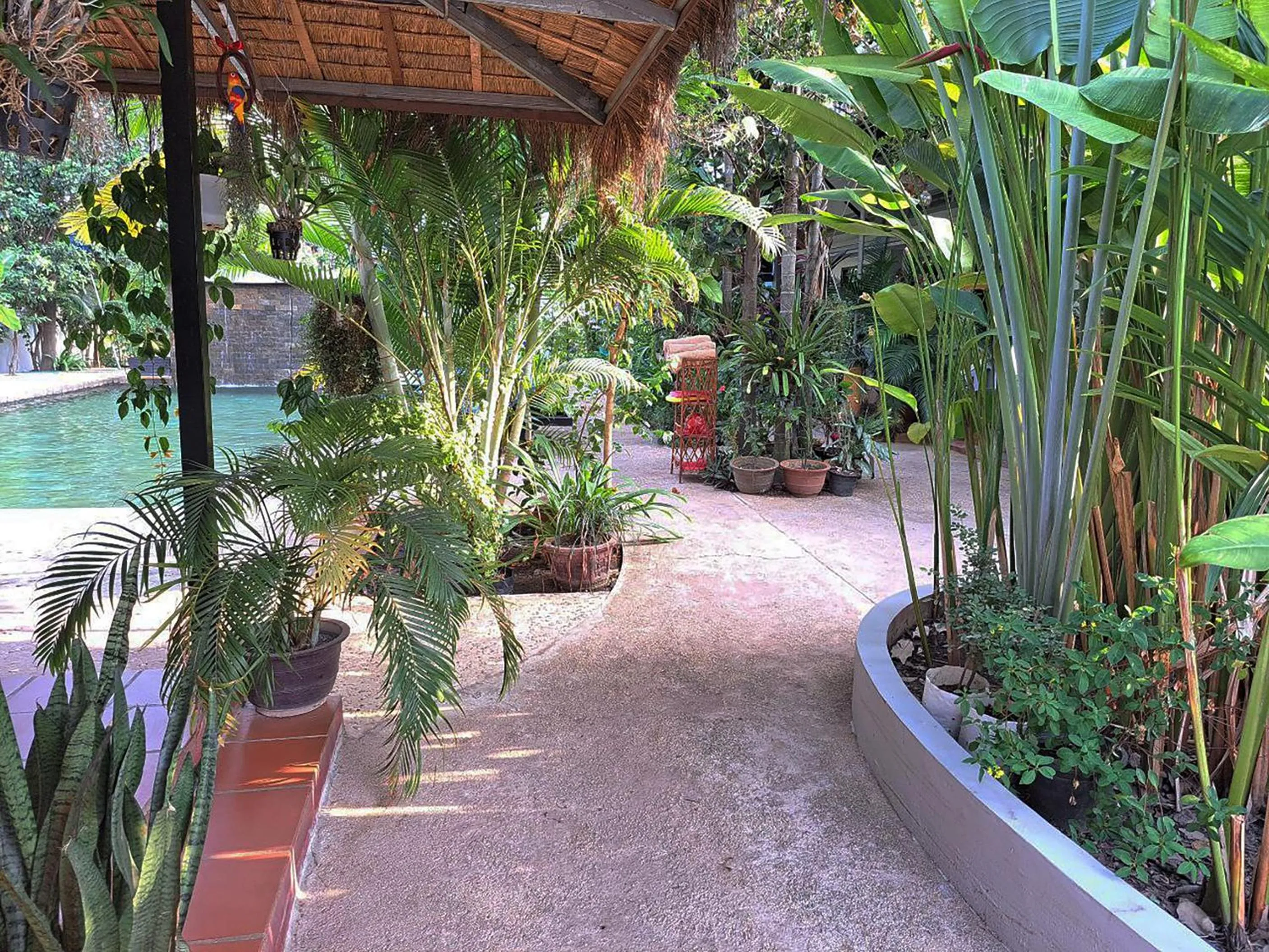 Garden in Nary Villa