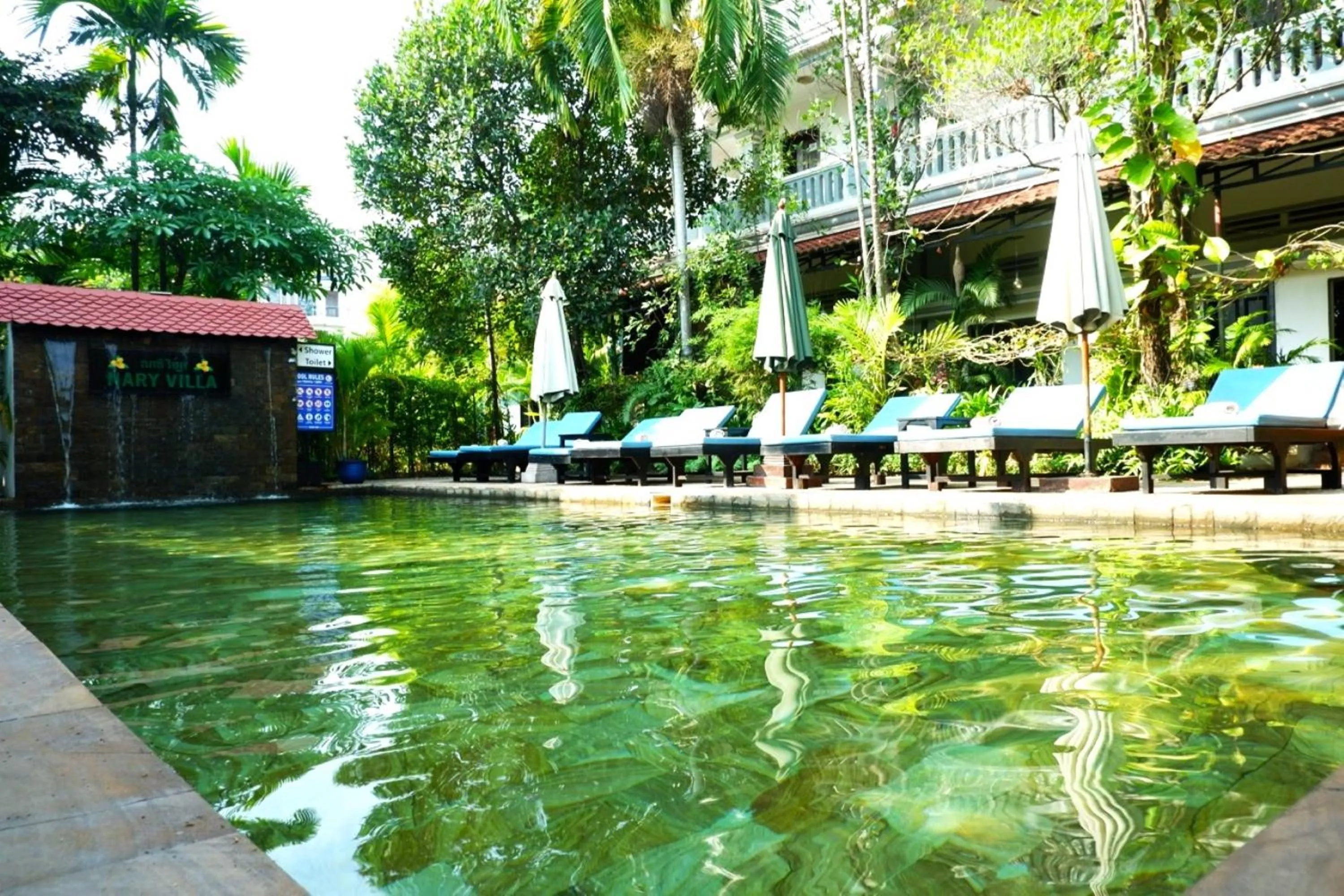 Swimming pool in Nary Villa