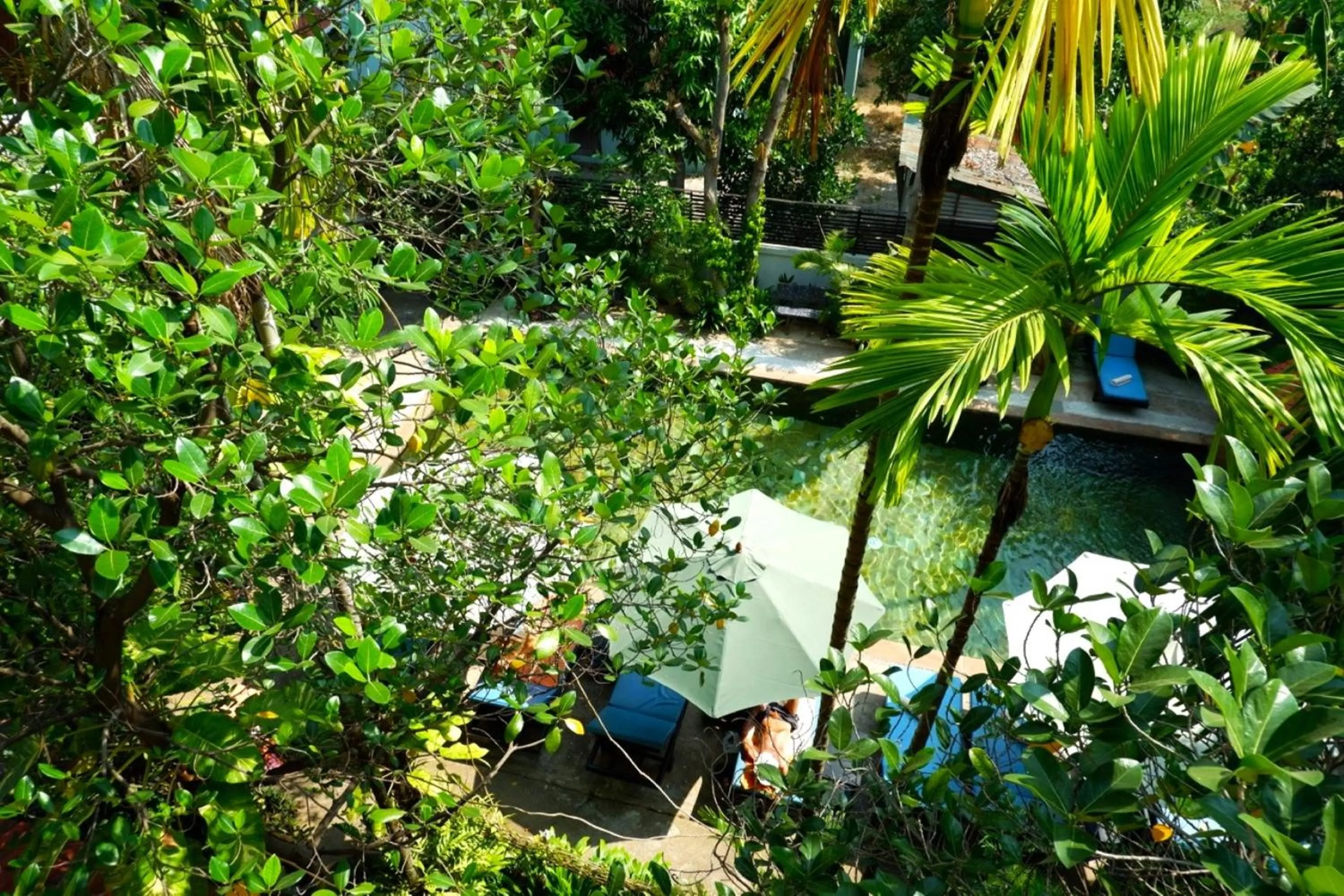 Garden view in Nary Villa