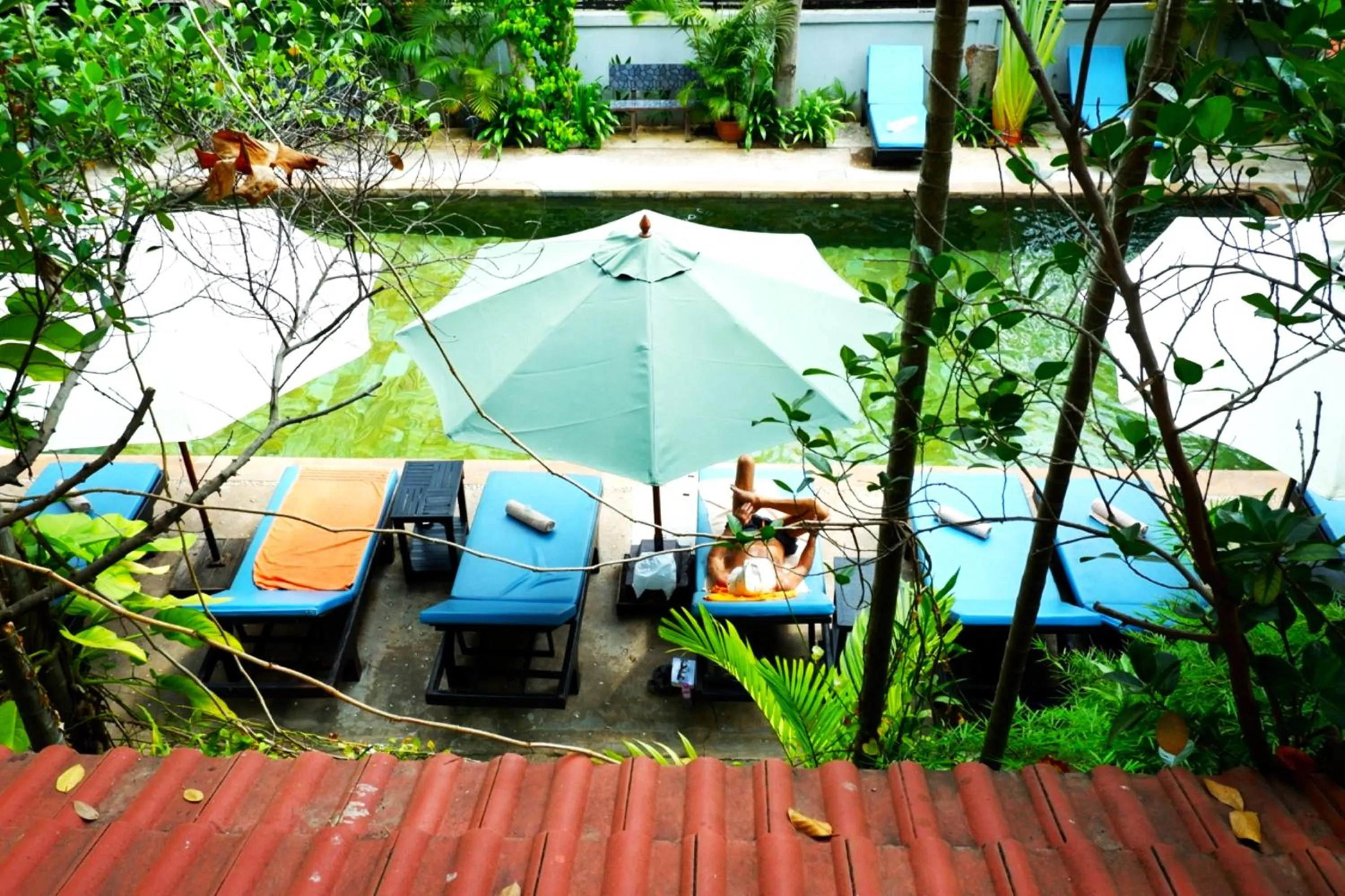 Garden view in Nary Villa