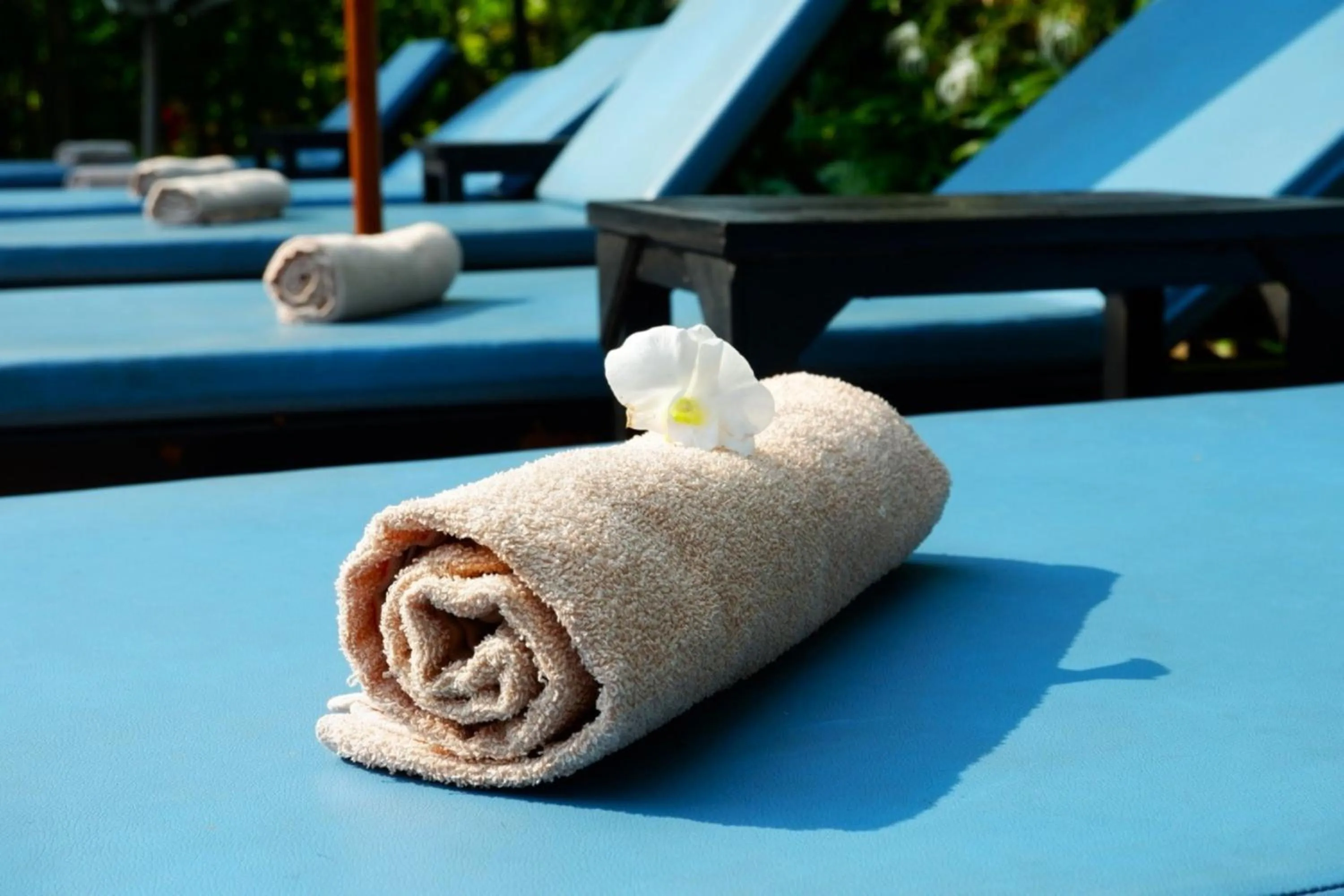 sunbed in Nary Villa