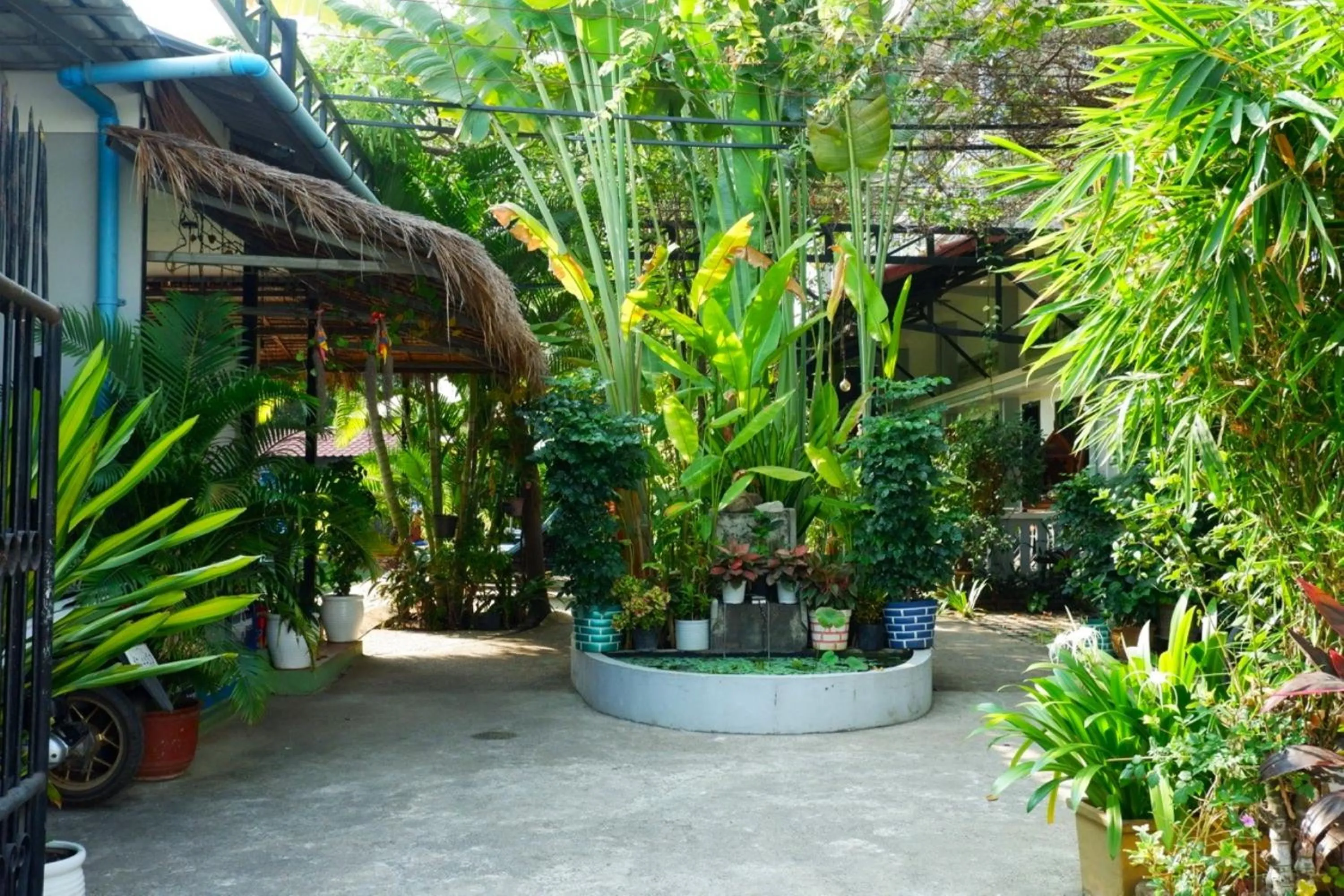 Garden view in Nary Villa