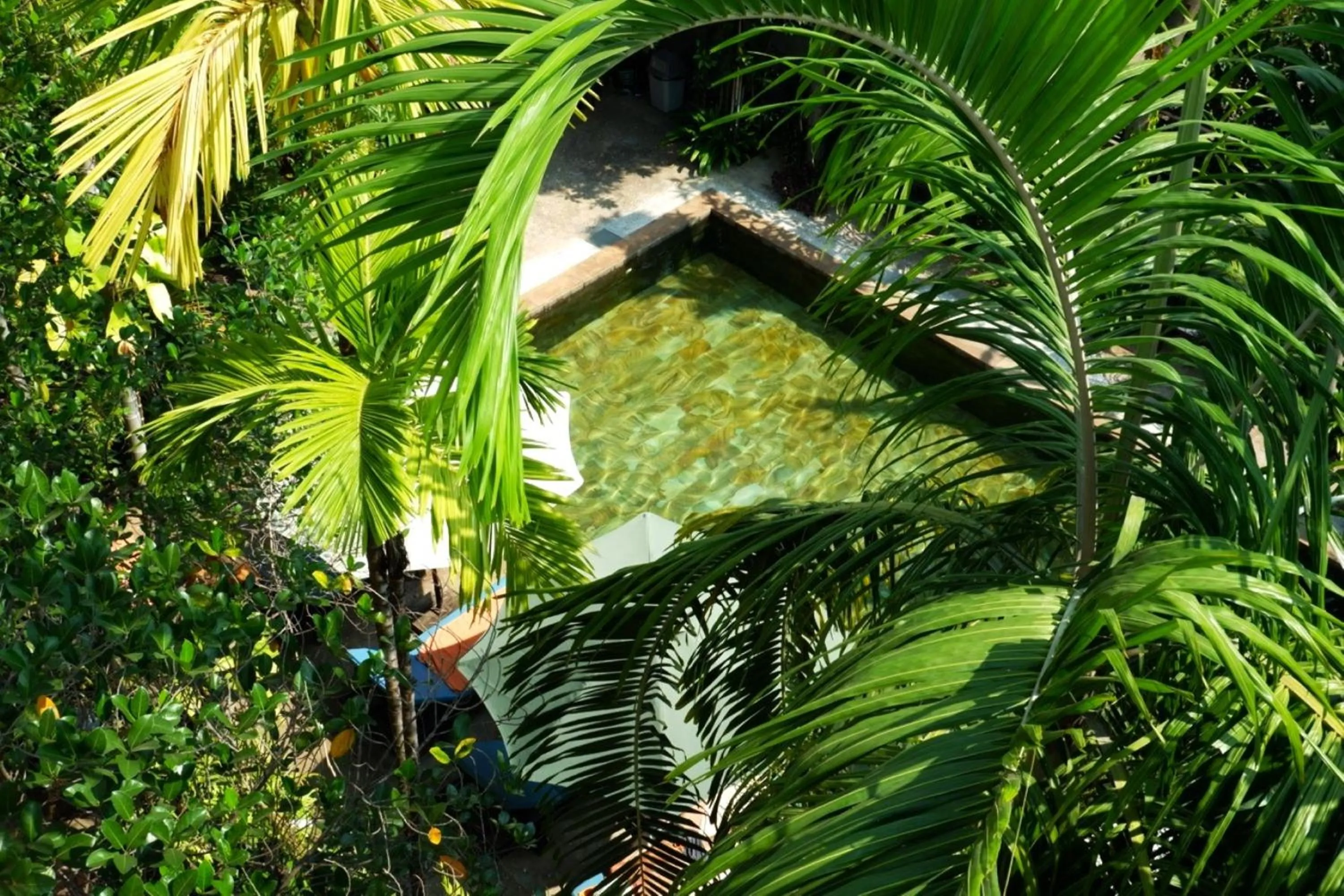 Natural landscape in Nary Villa