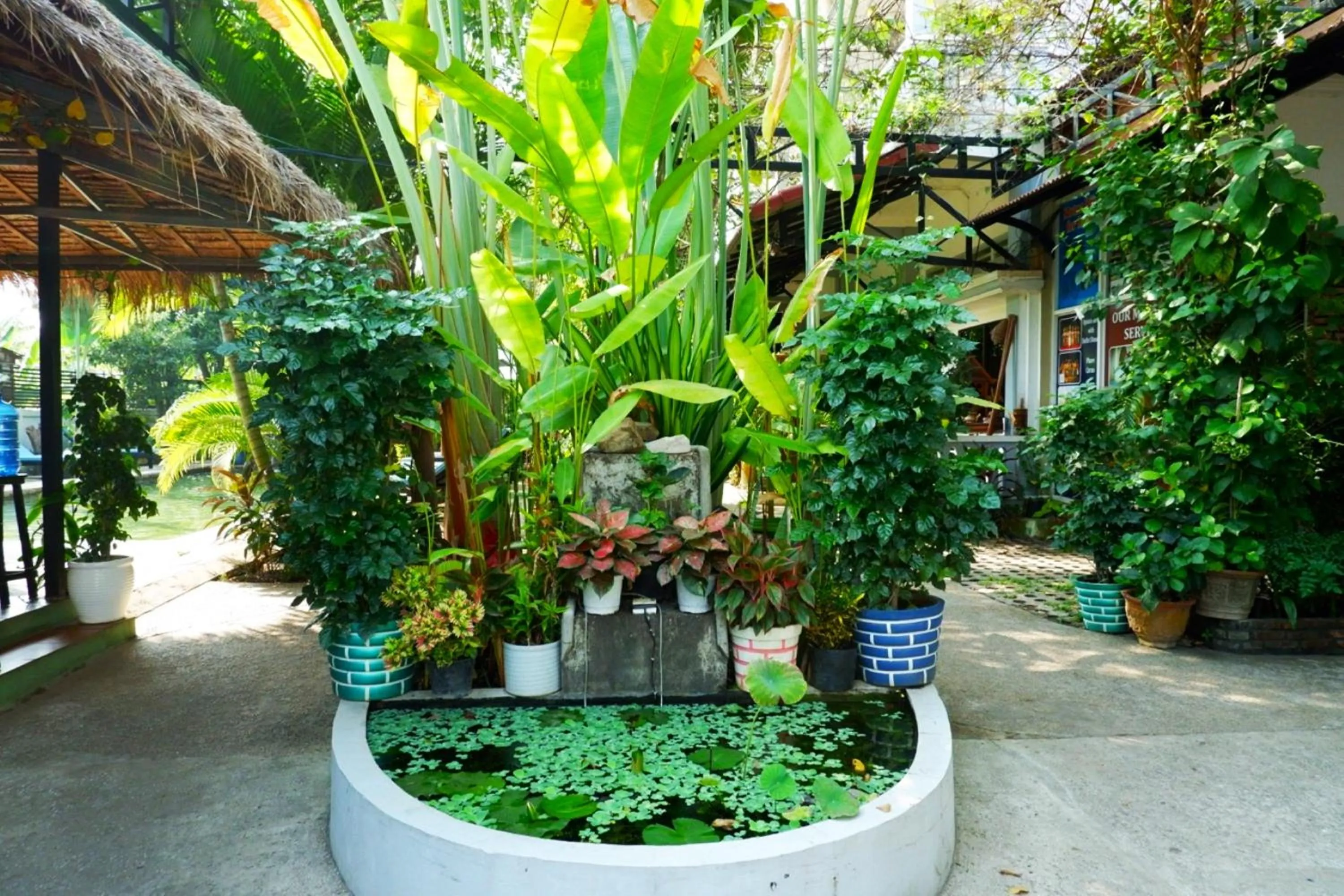 Garden view in Nary Villa