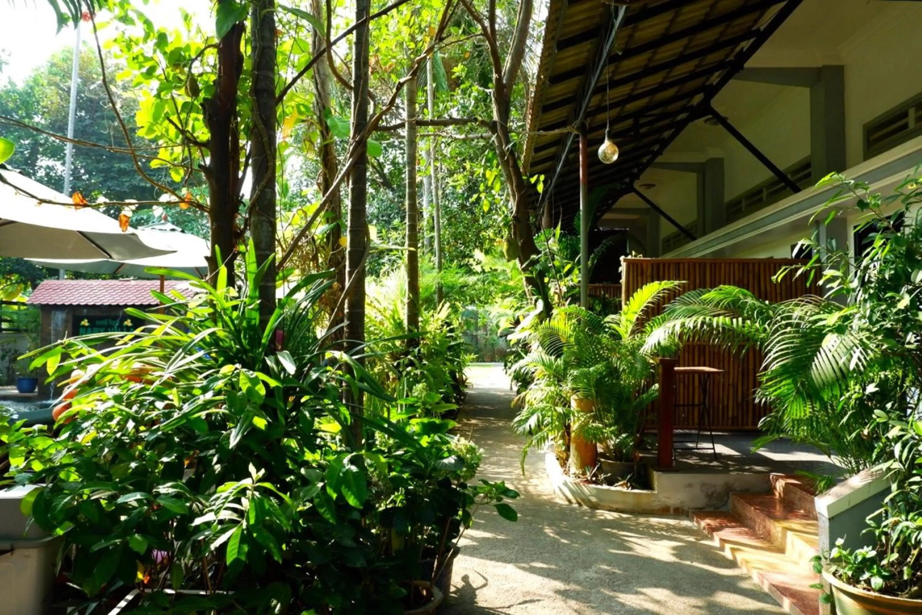 Garden view in Nary Villa