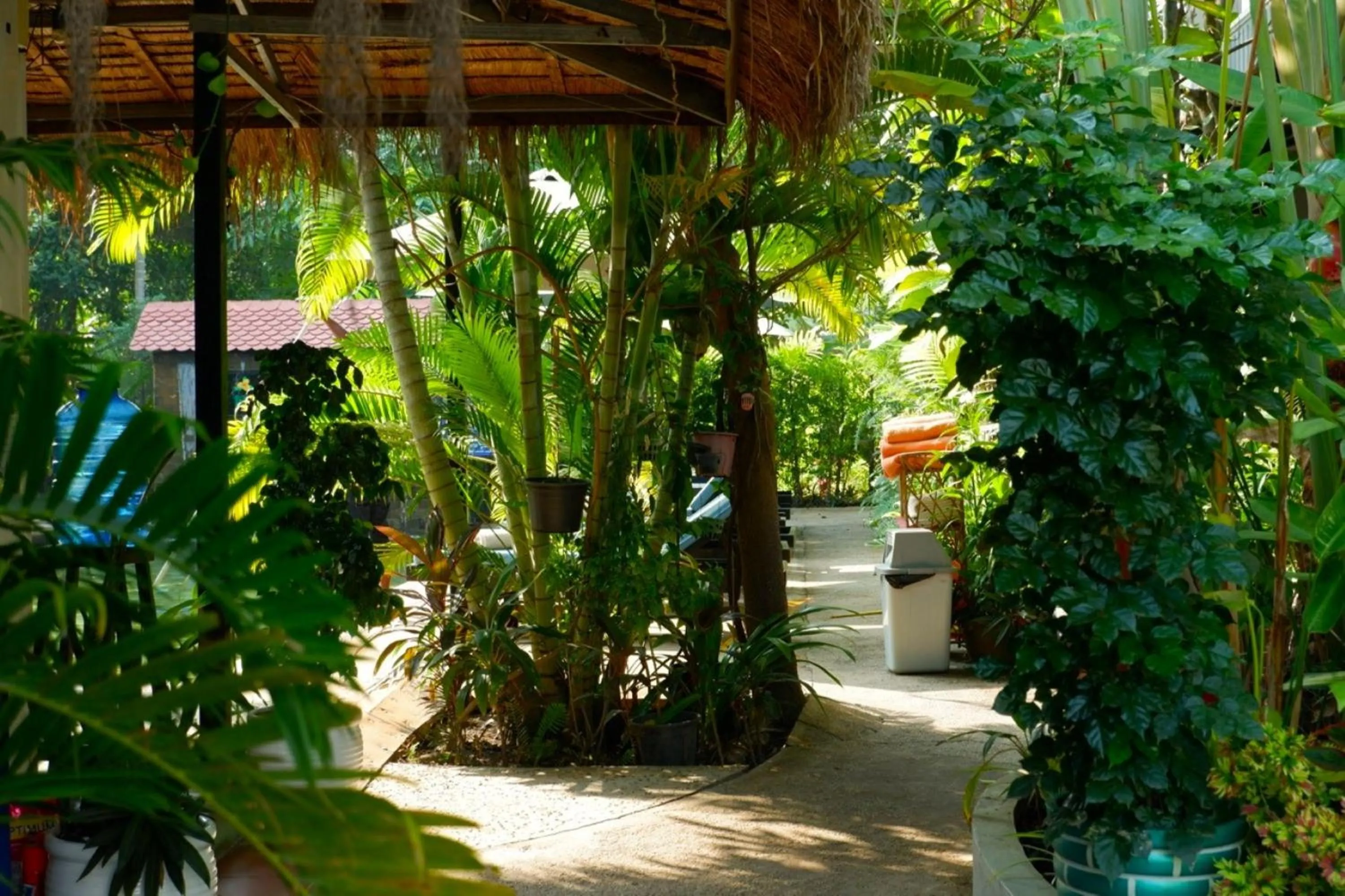 Garden in Nary Villa