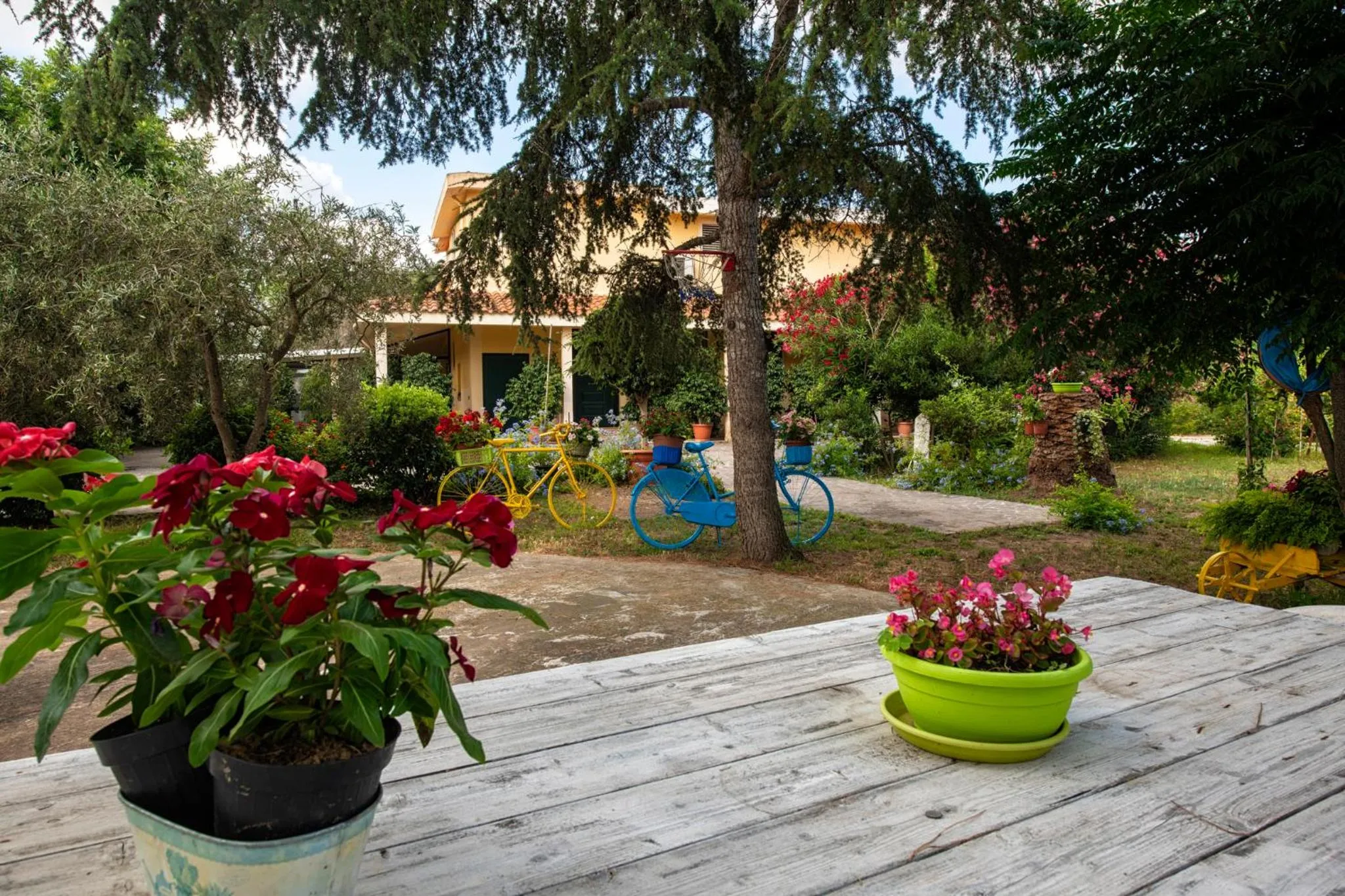 Garden view in B&B Da Marcella