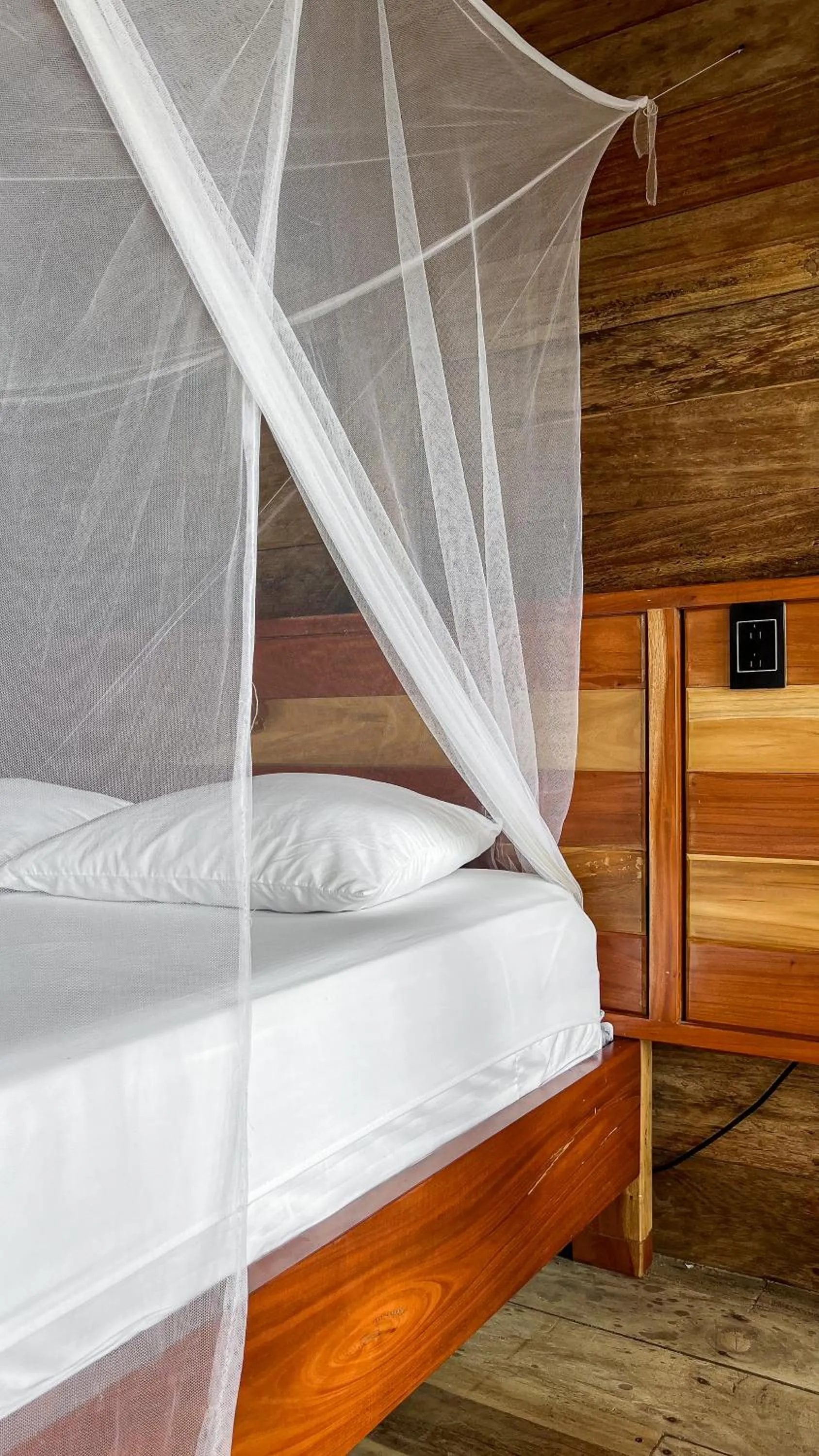 Bed in Hostal MOCAMBO BEACH