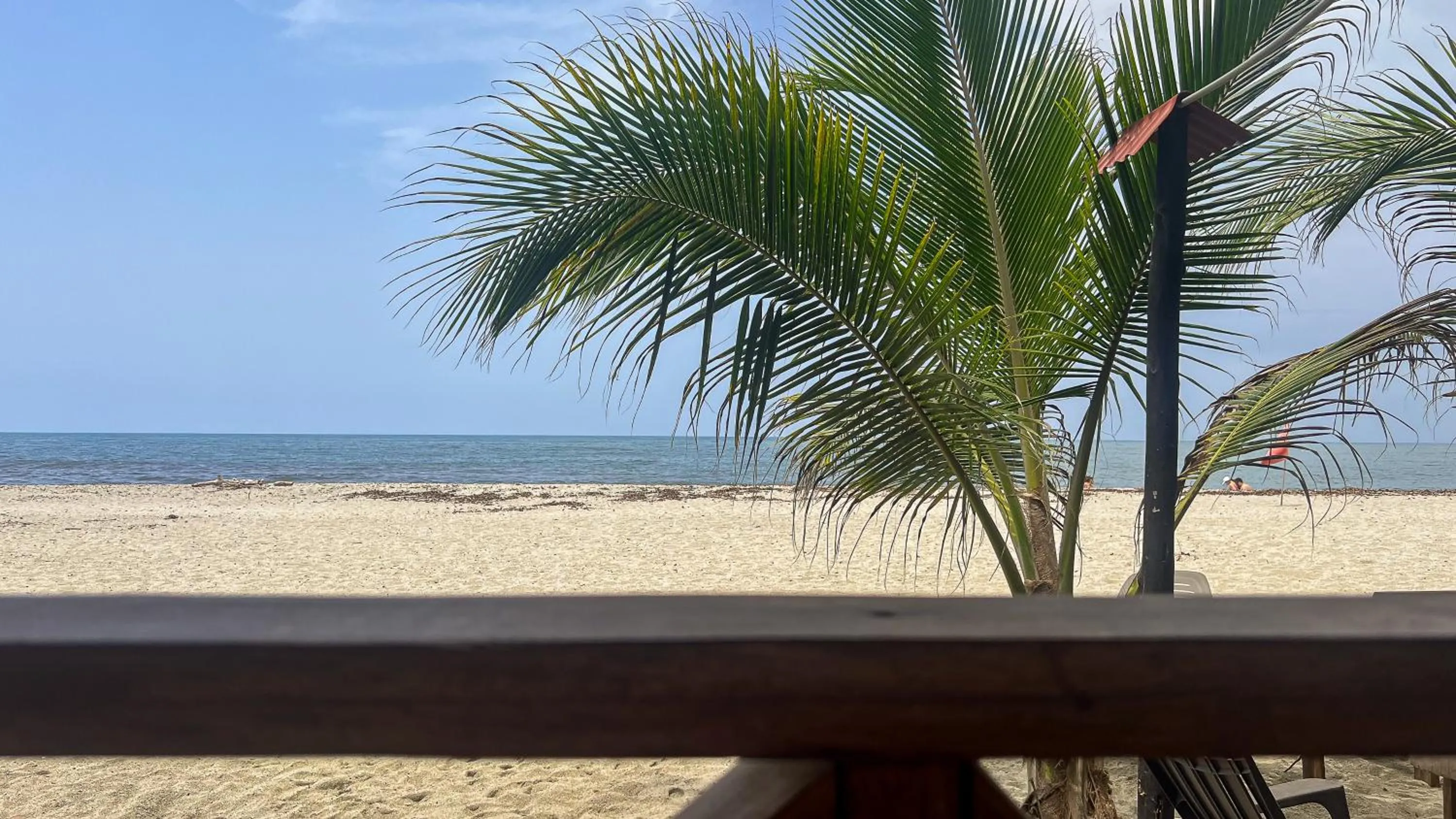 Natural landscape in Hostal MOCAMBO BEACH