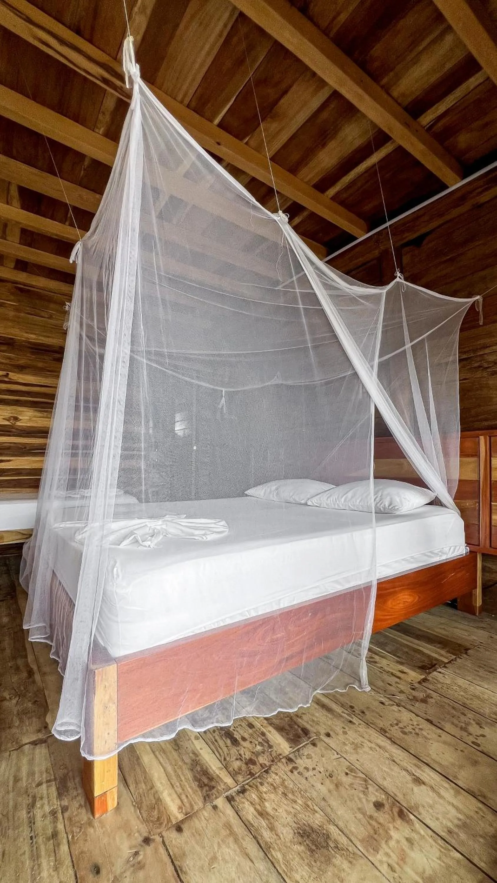 Bed in Hostal MOCAMBO BEACH