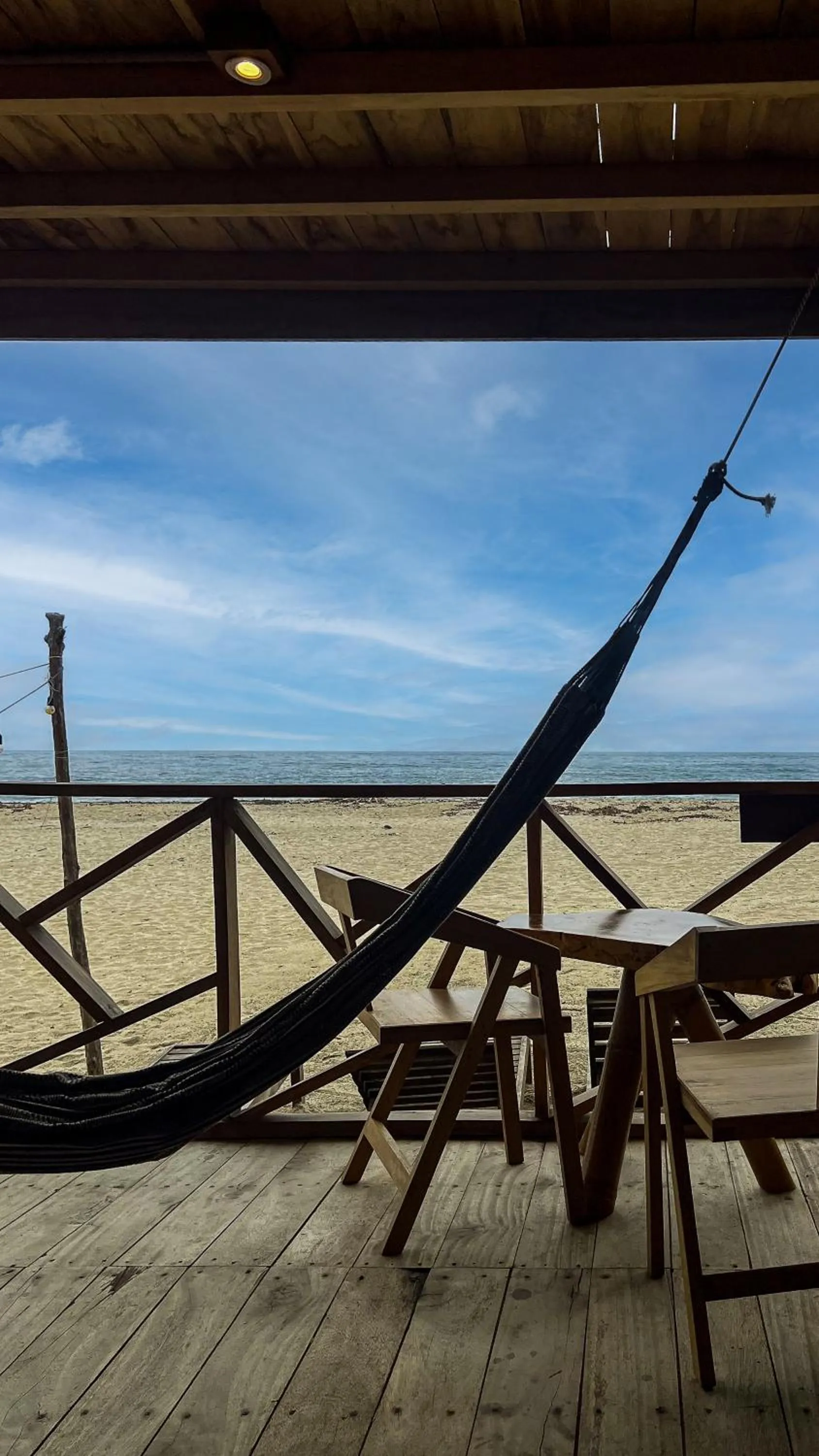 Natural landscape in Hostal MOCAMBO BEACH