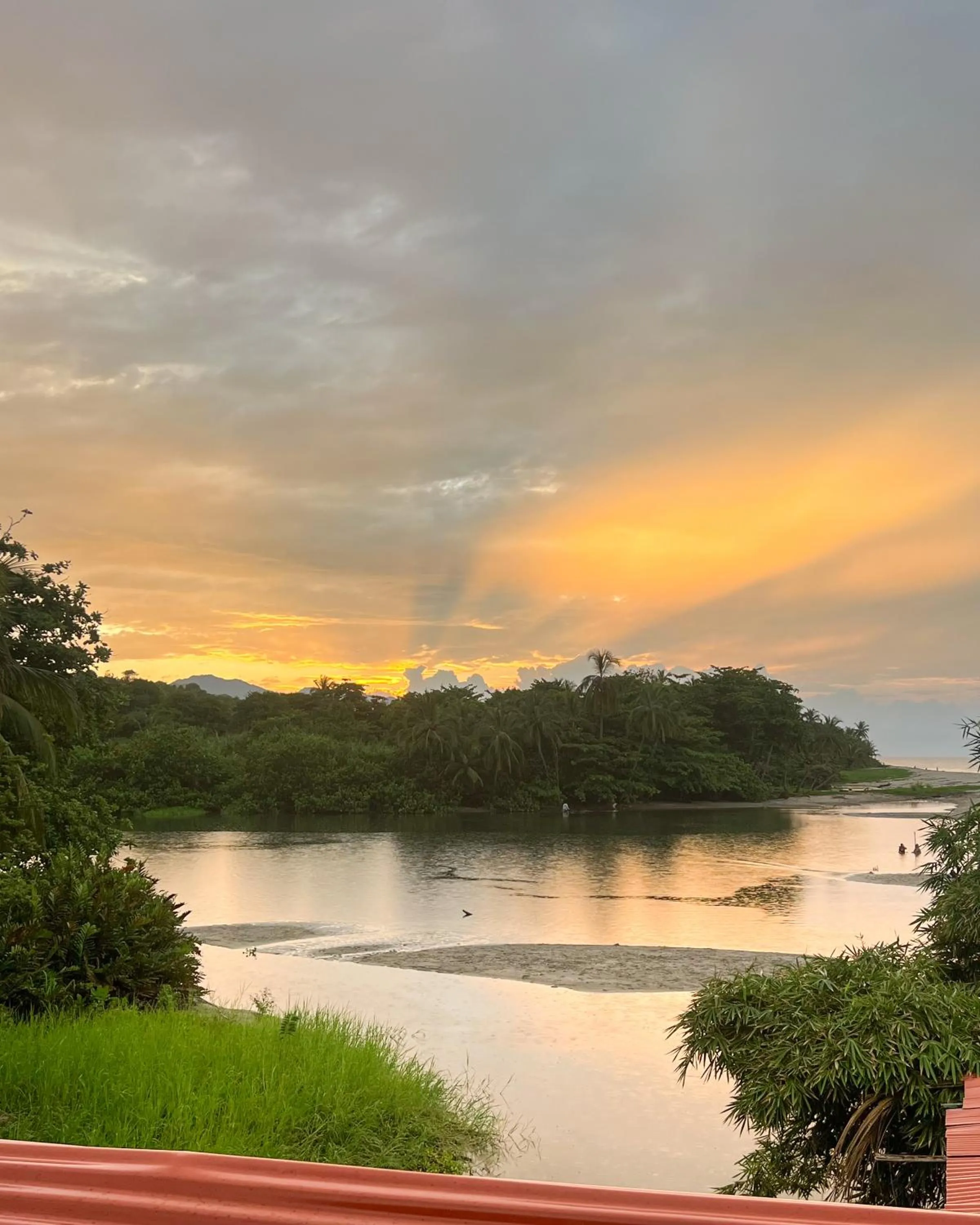 Natural landscape in Hostal MOCAMBO BEACH