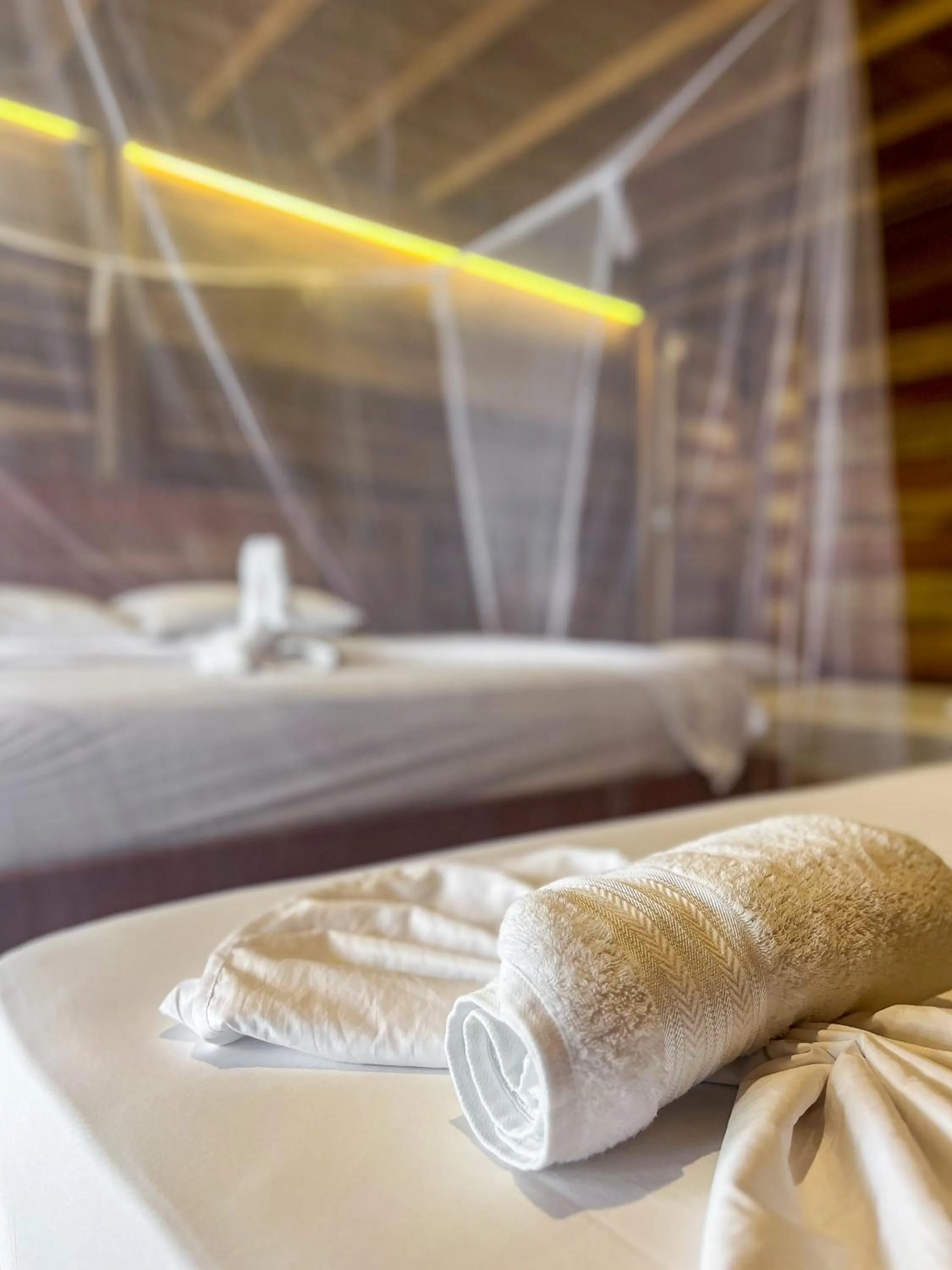 Bed in Hostal MOCAMBO BEACH